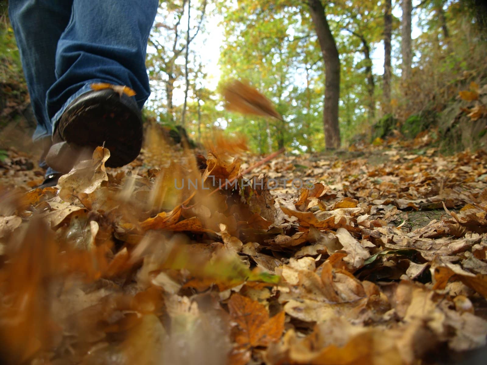 man walk in park by luckyhumek