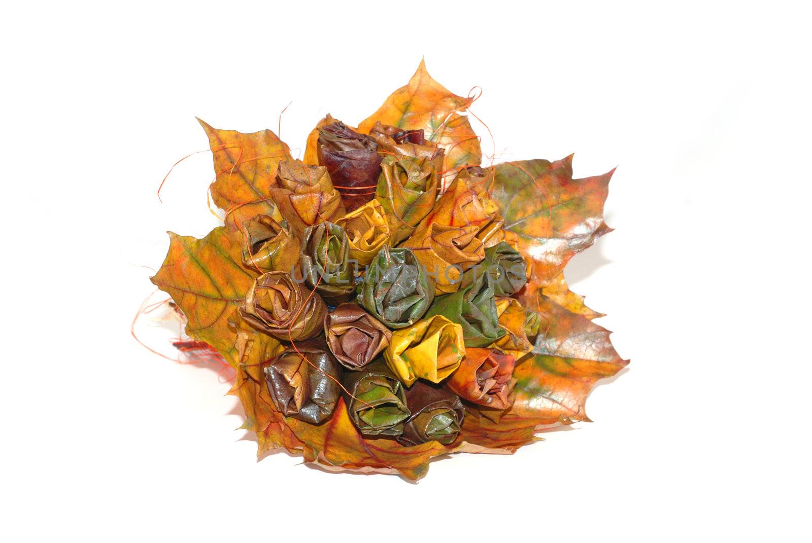 A bouquet of autumn leaves by wojciechkozlowski