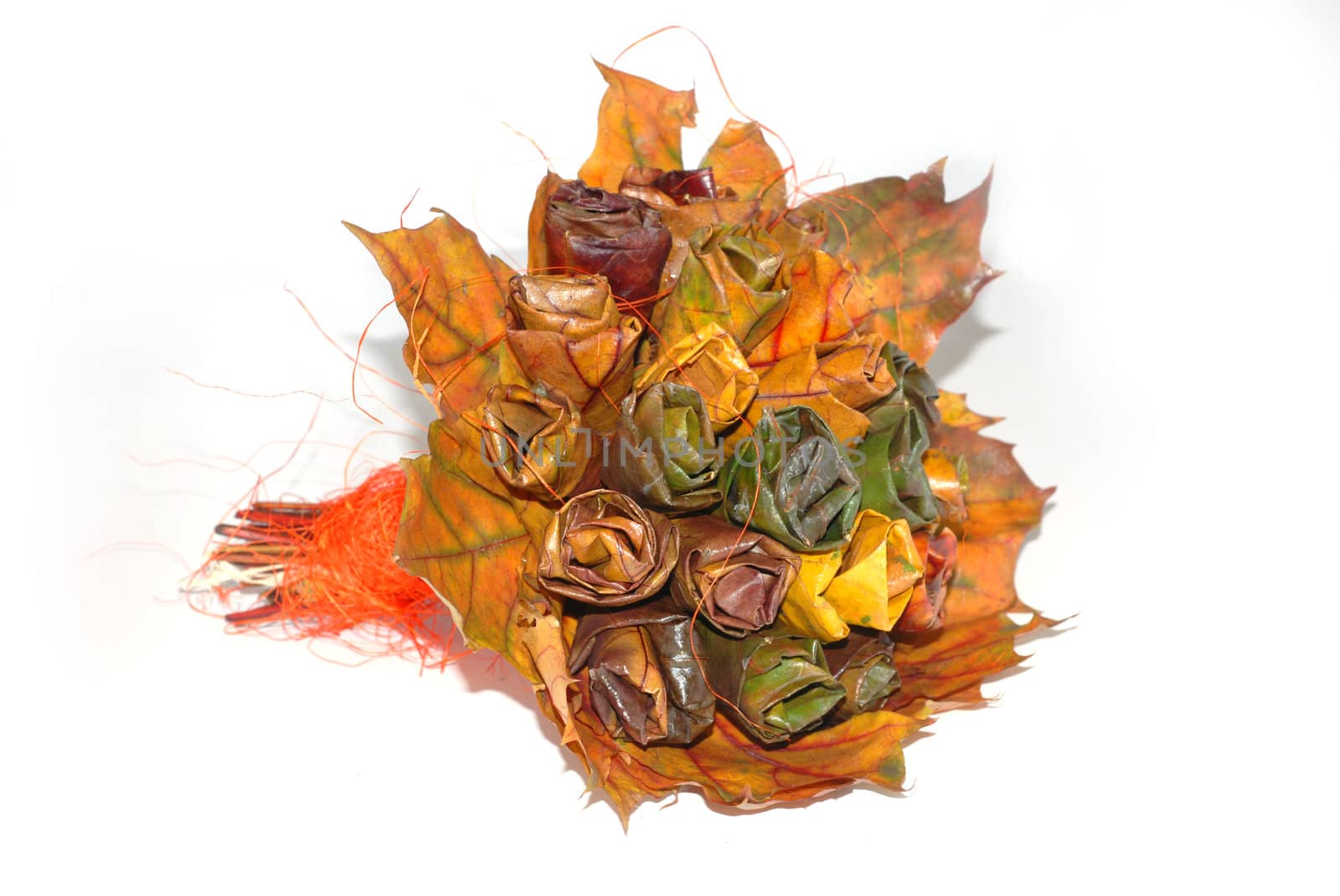 A bouquet of autumn leaves. Poland