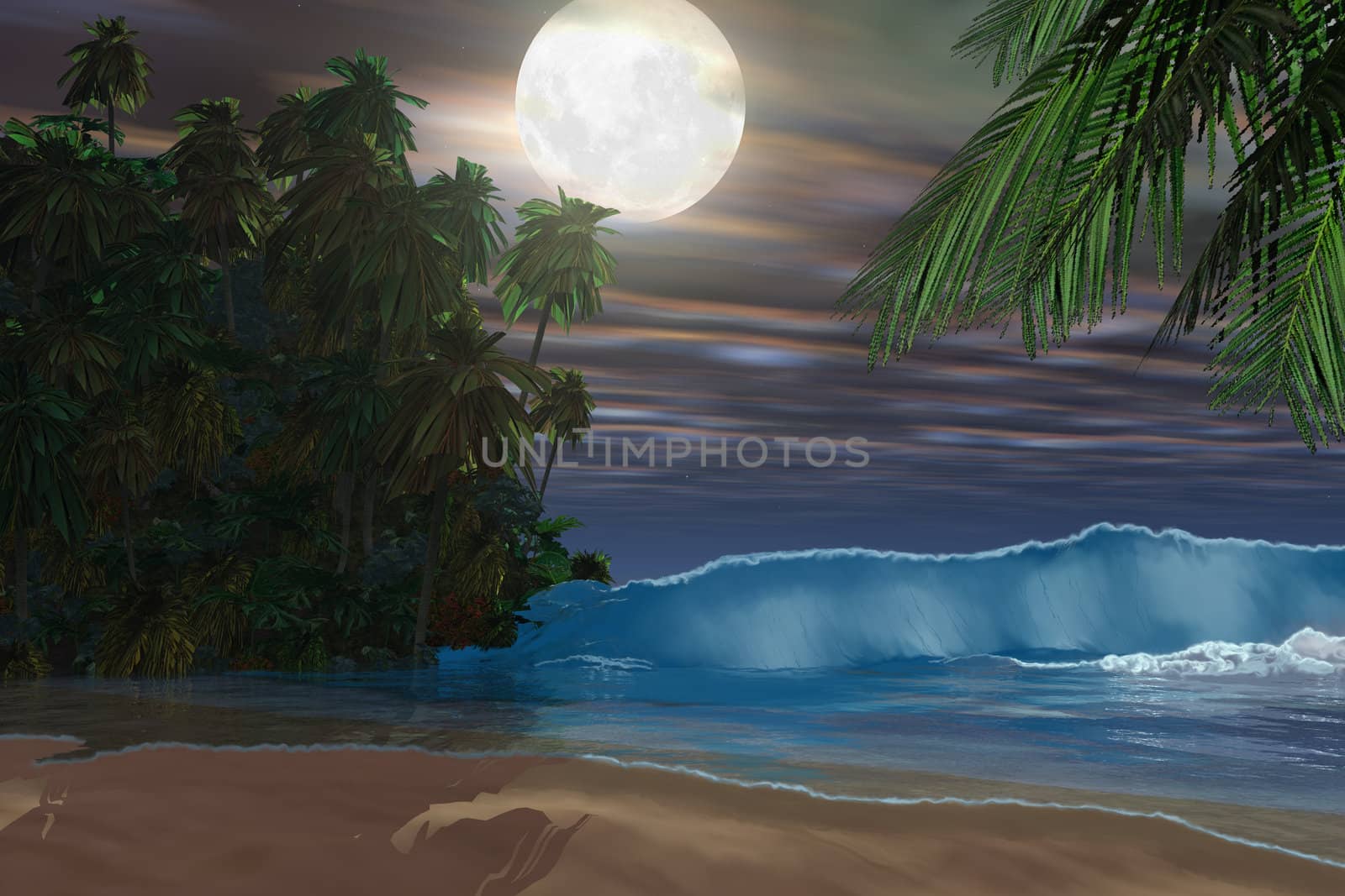 ISLAND BEACH by Catmando