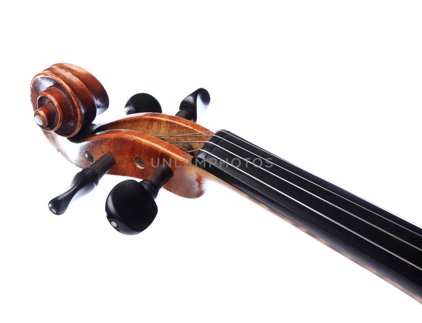 violin head