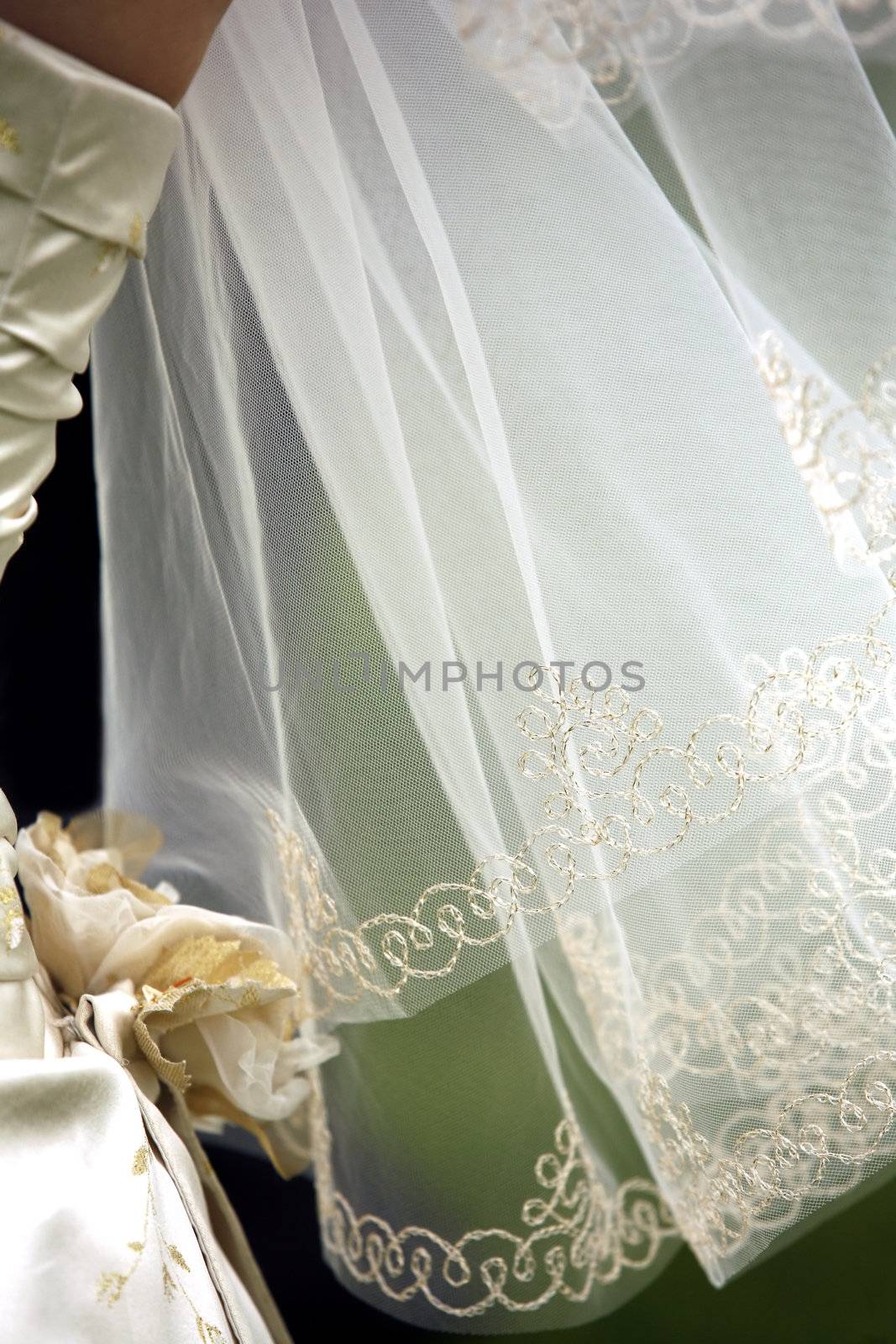 Wedding veil and part of a wedding dress