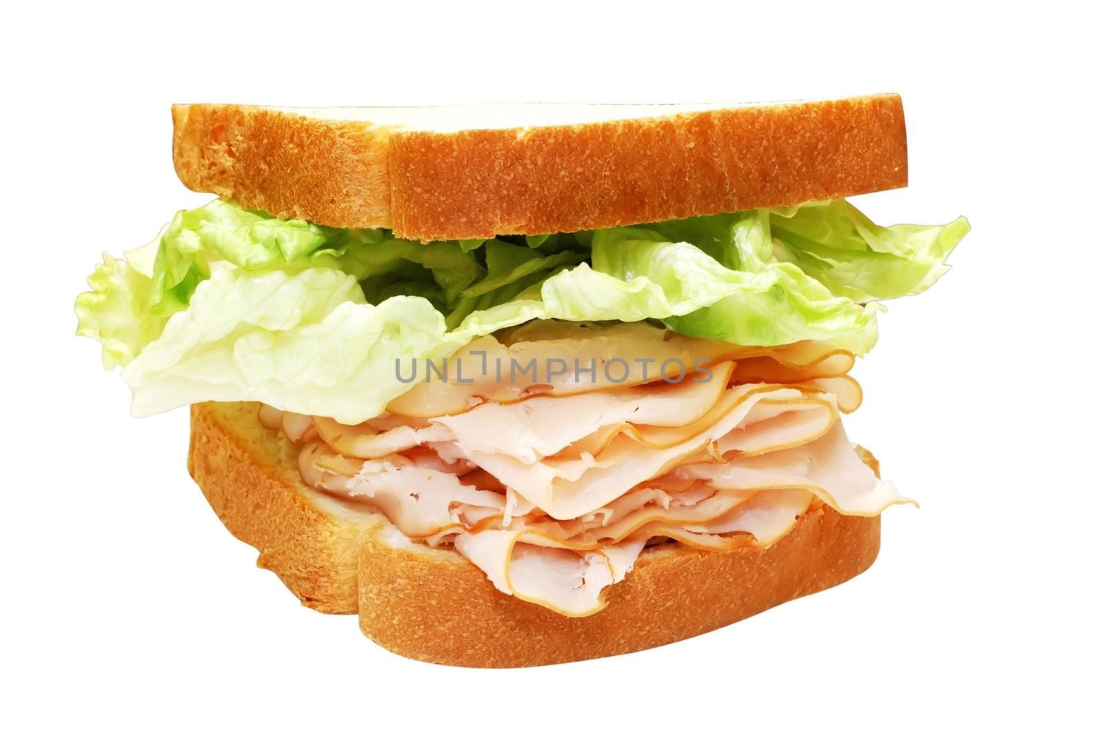 Turkey and lettuce sandwich with clipping path.