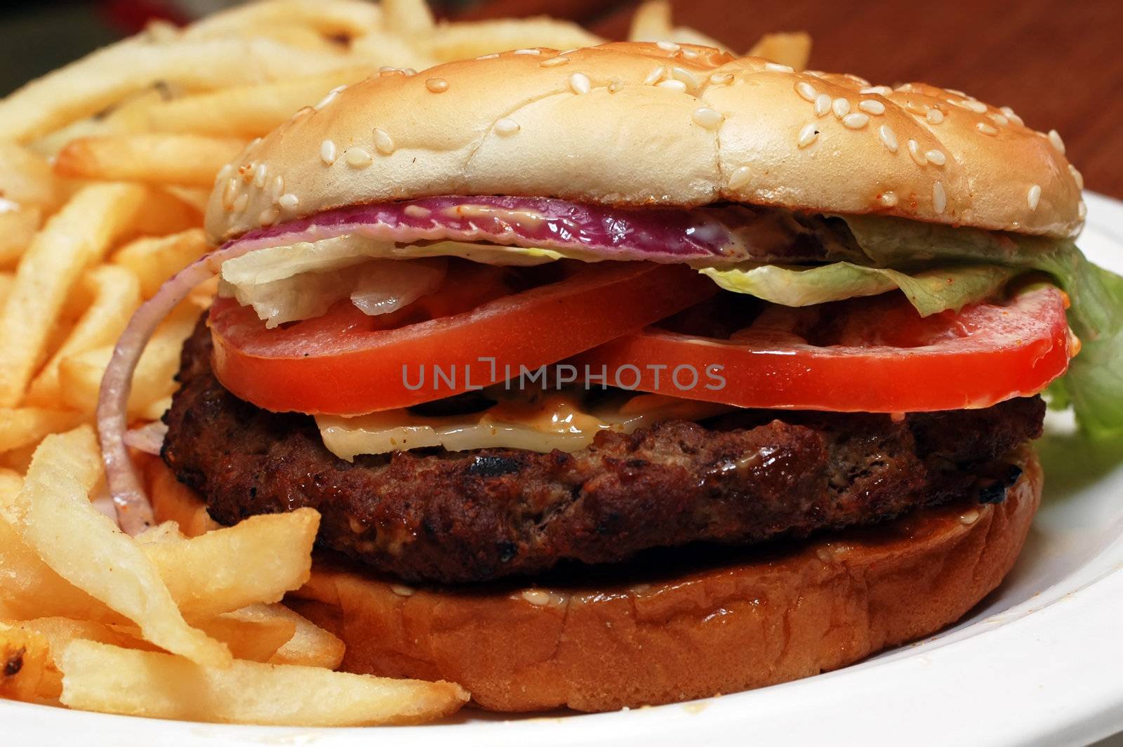 Angus beef burger with french fries.