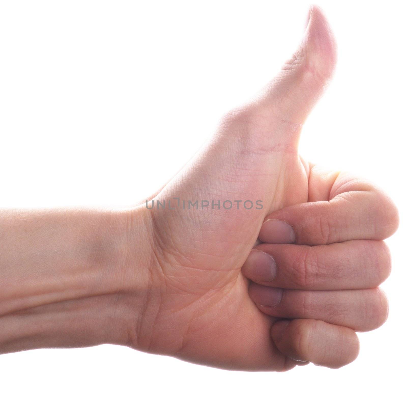 thumbs up or down concept isolated on white background