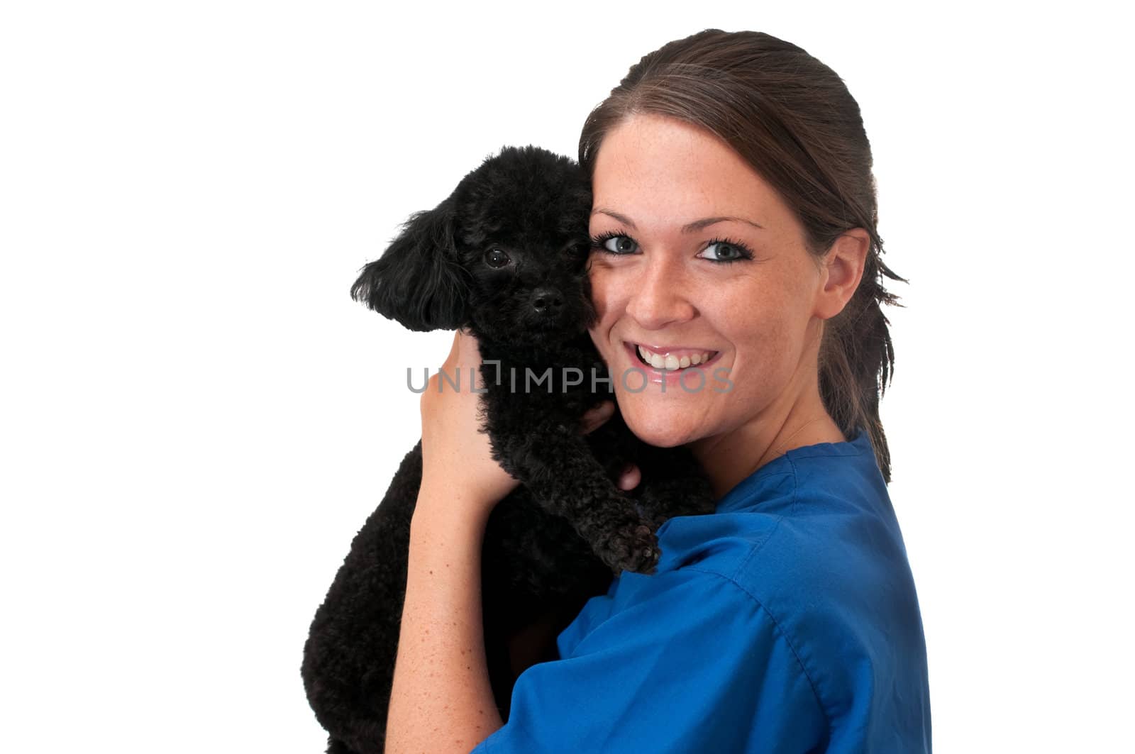 Veterinary assistant holding pet poodle isolated on white background with copy space.
