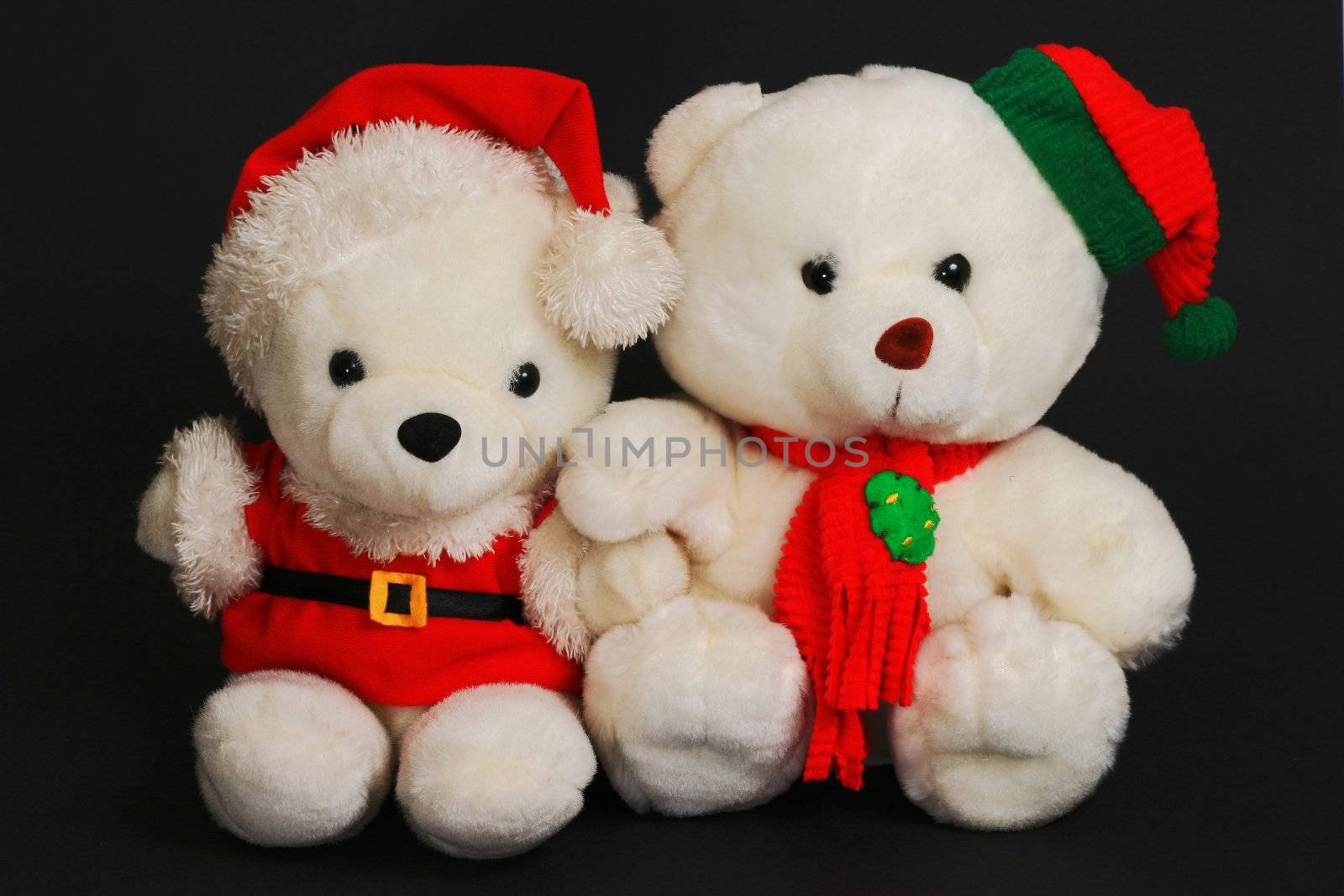 christmas teddy bears isolated in black background
