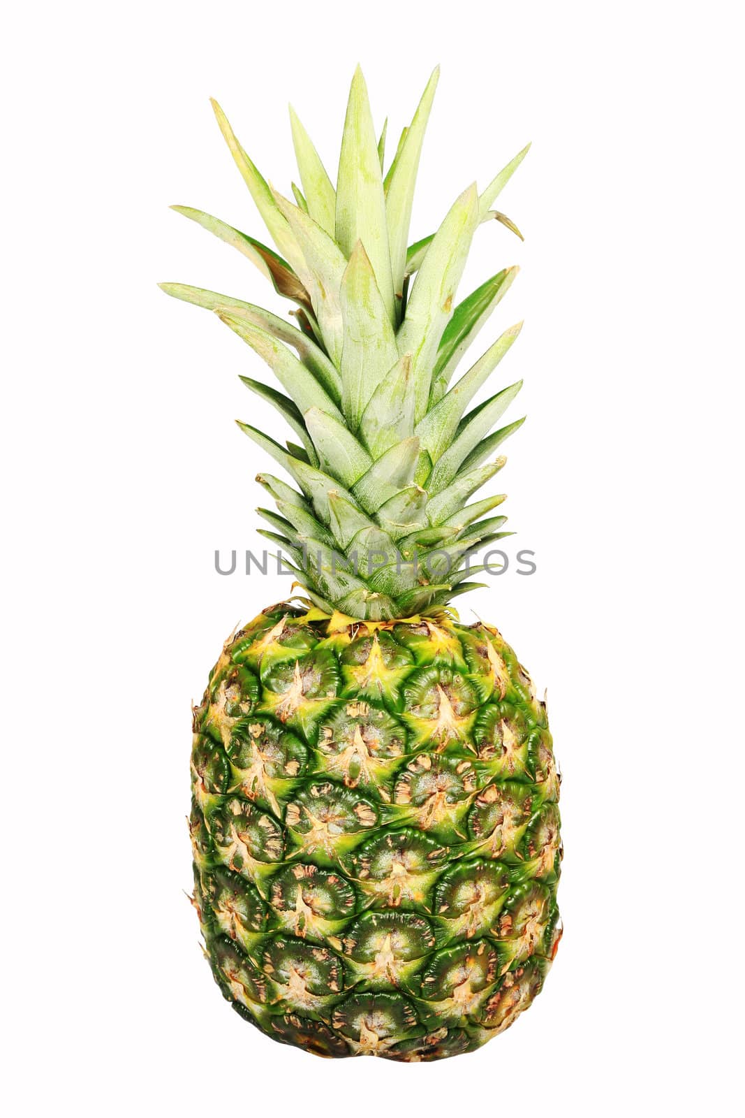 a lone pineapple isolated on white background
