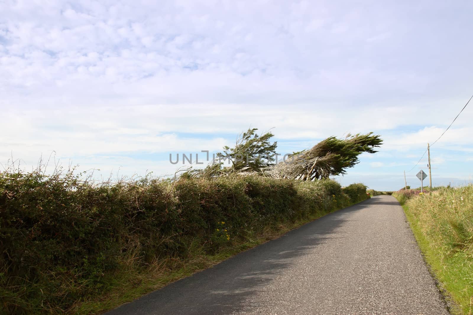 a windy coastal road on the west coast of ireland