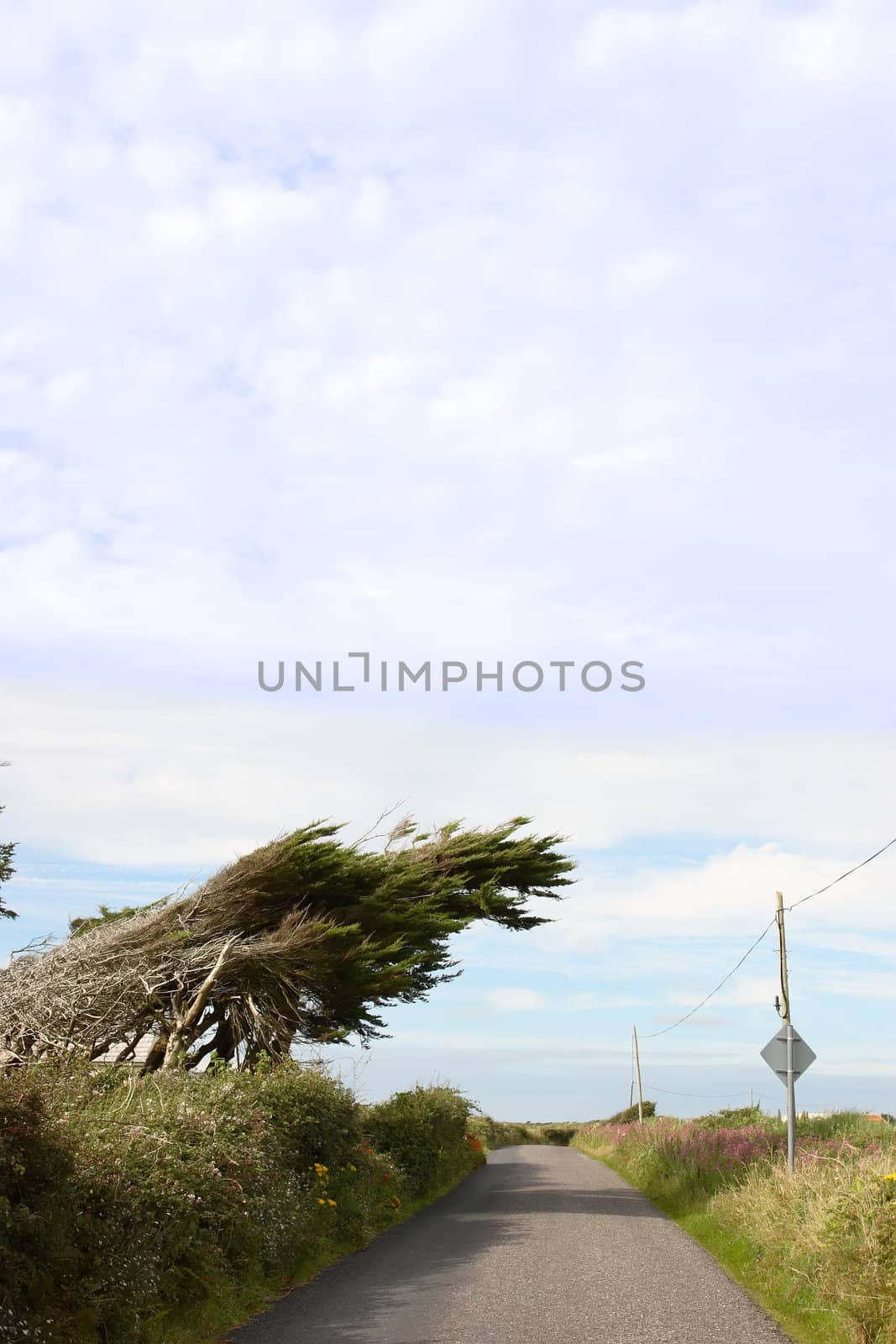 a windy coastal road on the west coast of ireland