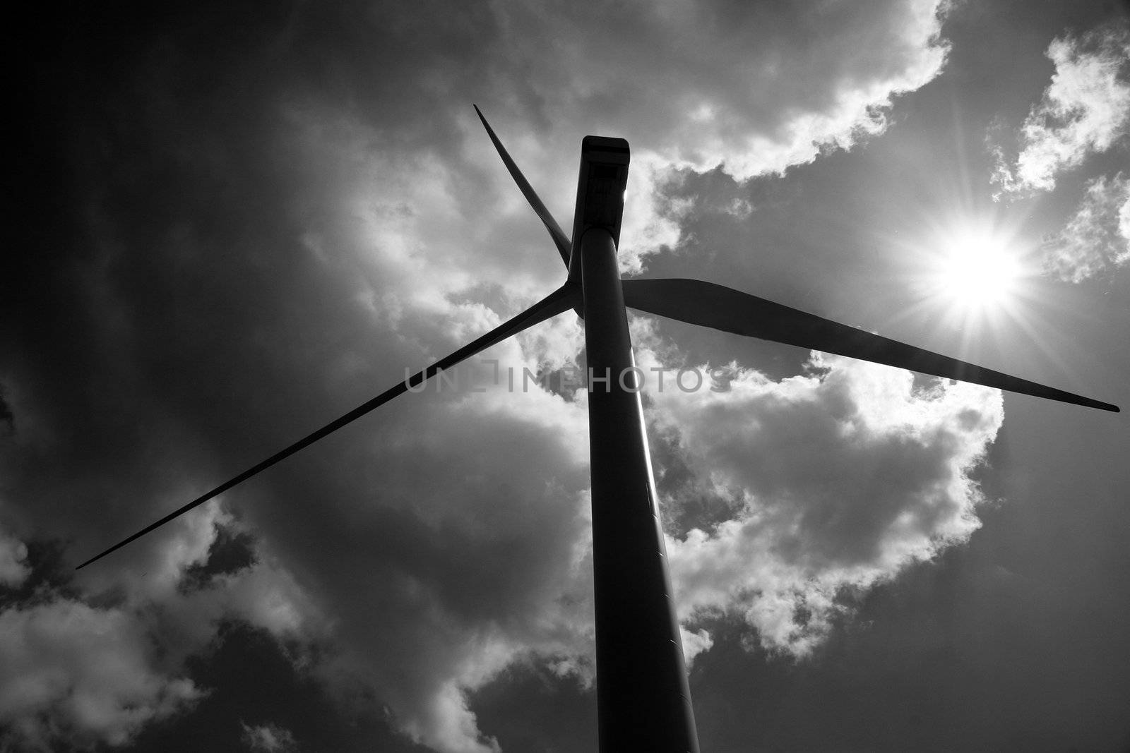 wind turbines black and white