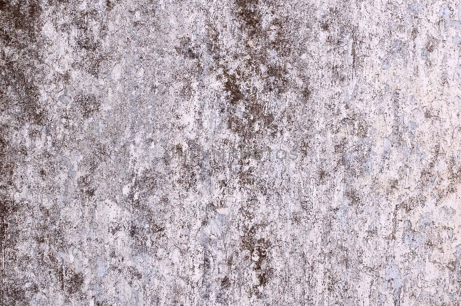 Very old painted concrete wall - brutal background (texture).