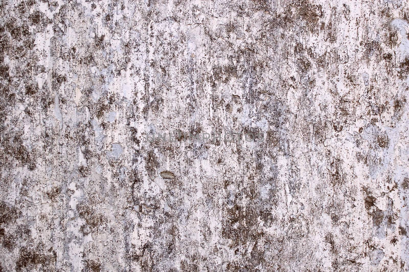 Very old painted concrete wall - brutal background (texture).