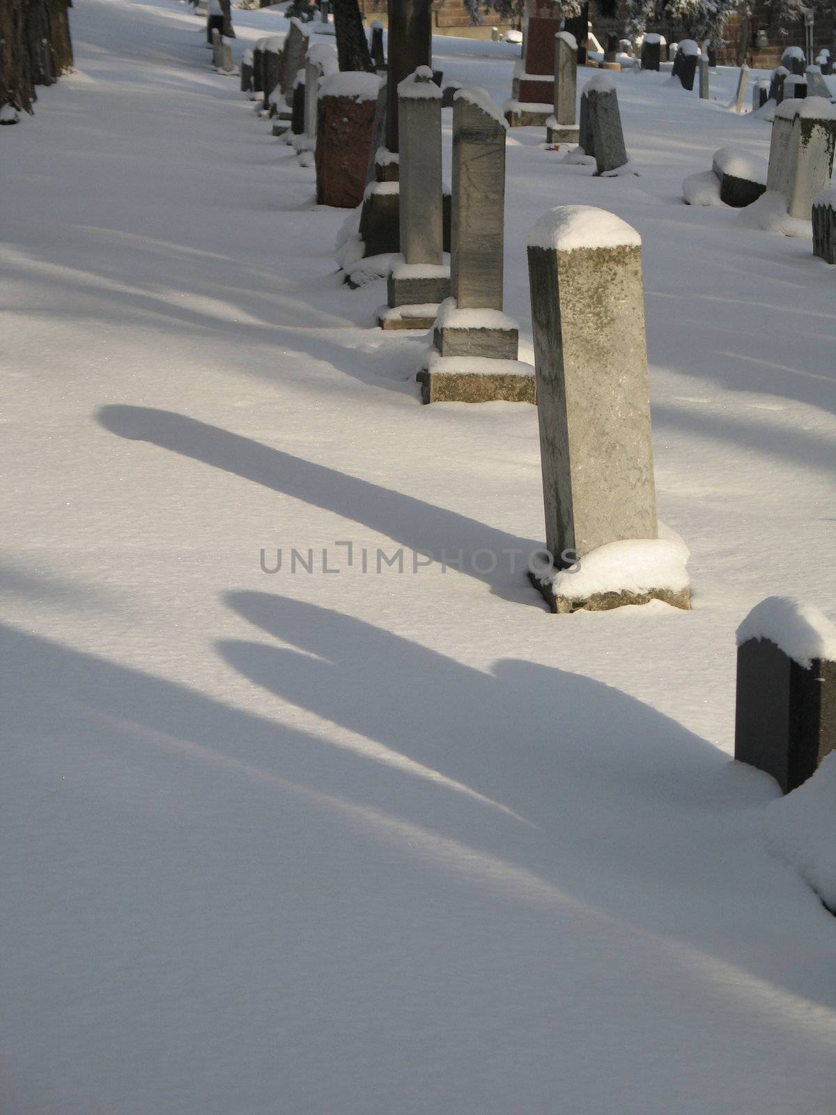 snow on a cemetery