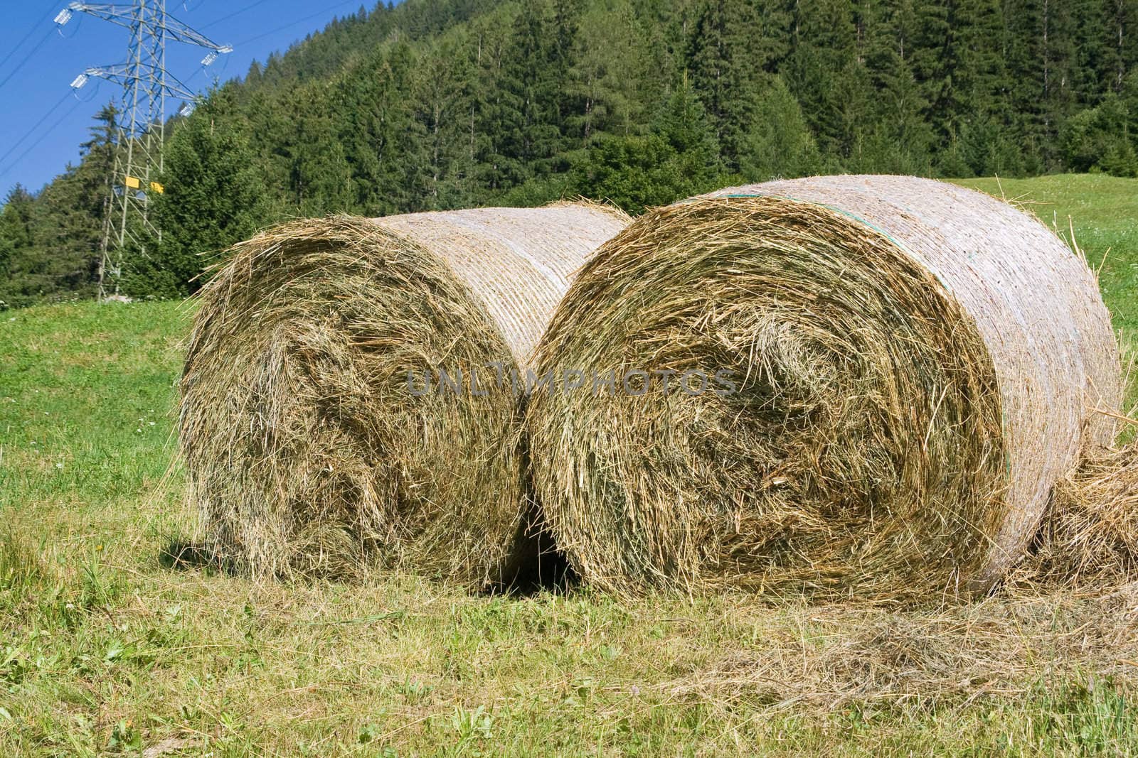alpine field with two sheaves of hay