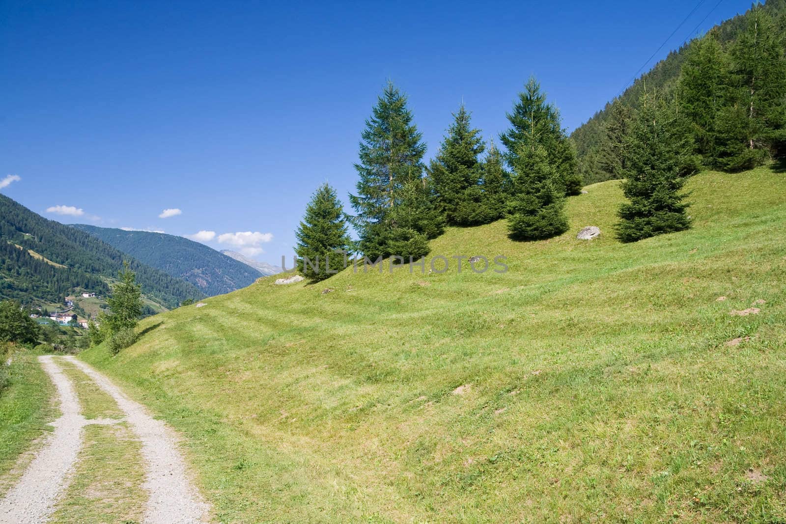 summer view of Val di Sole, Trentino, Italy