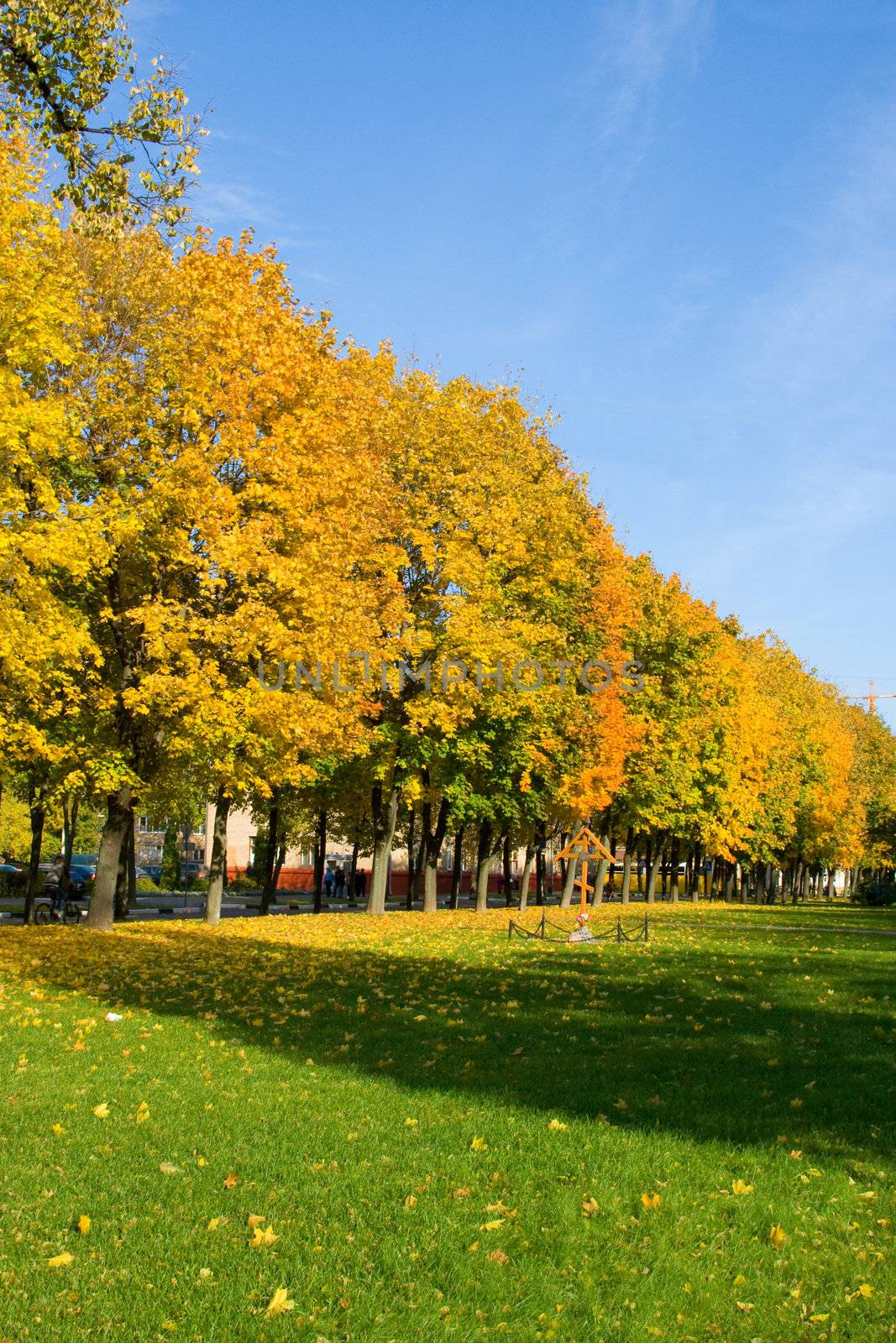 Autumn city park in solar autumn day