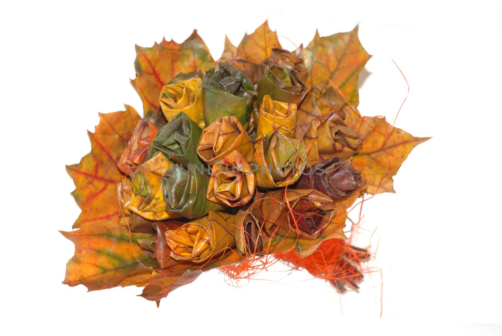 A bouquet of autumn leaves. by wojciechkozlowski