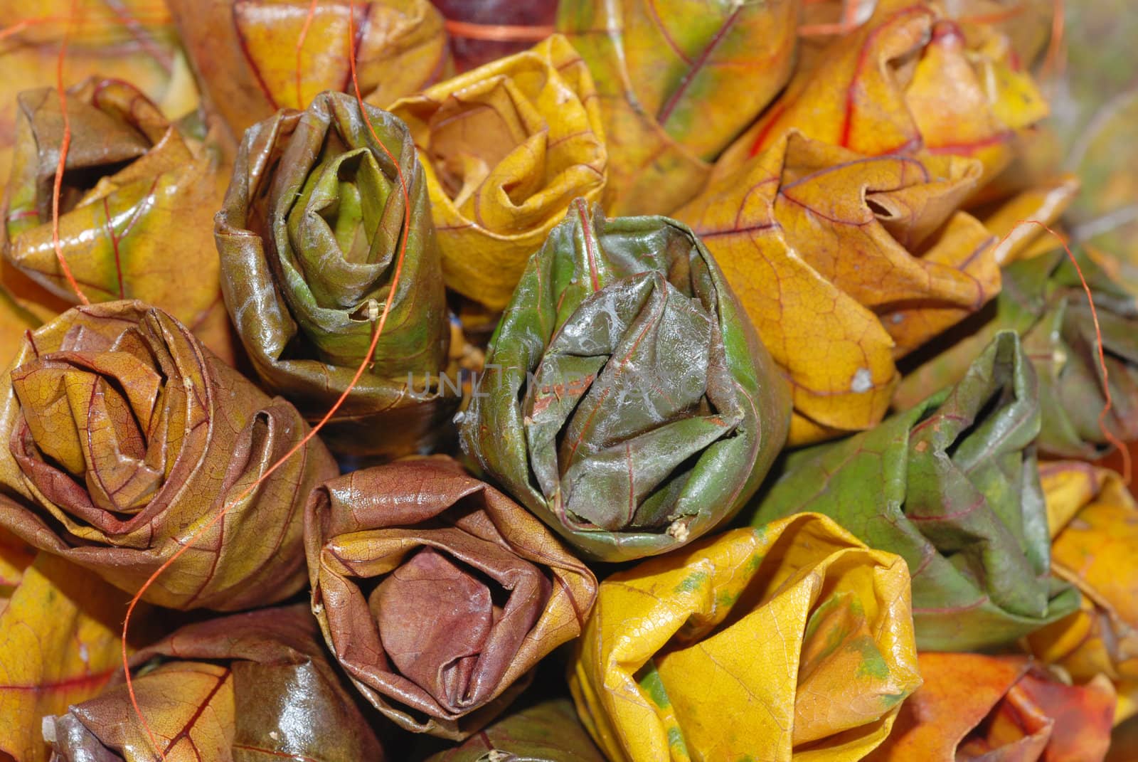 A bouquet of autumn leaves by wojciechkozlowski