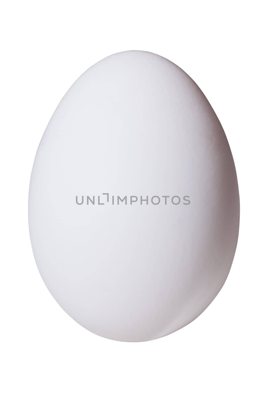 Raw egg isolated on white background with clipping path.