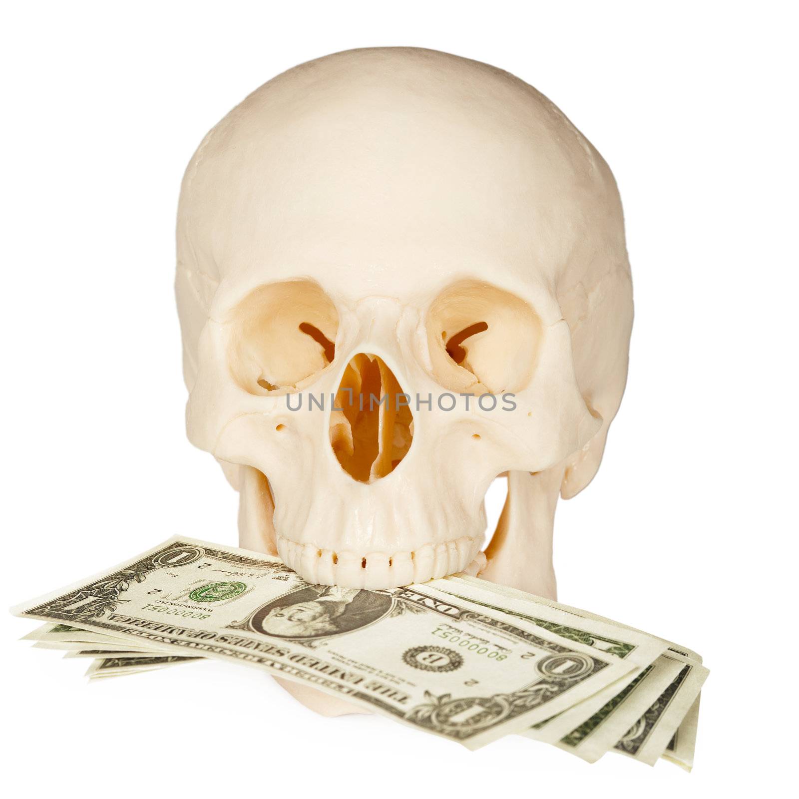 Skull devours money, isolated on a white background
