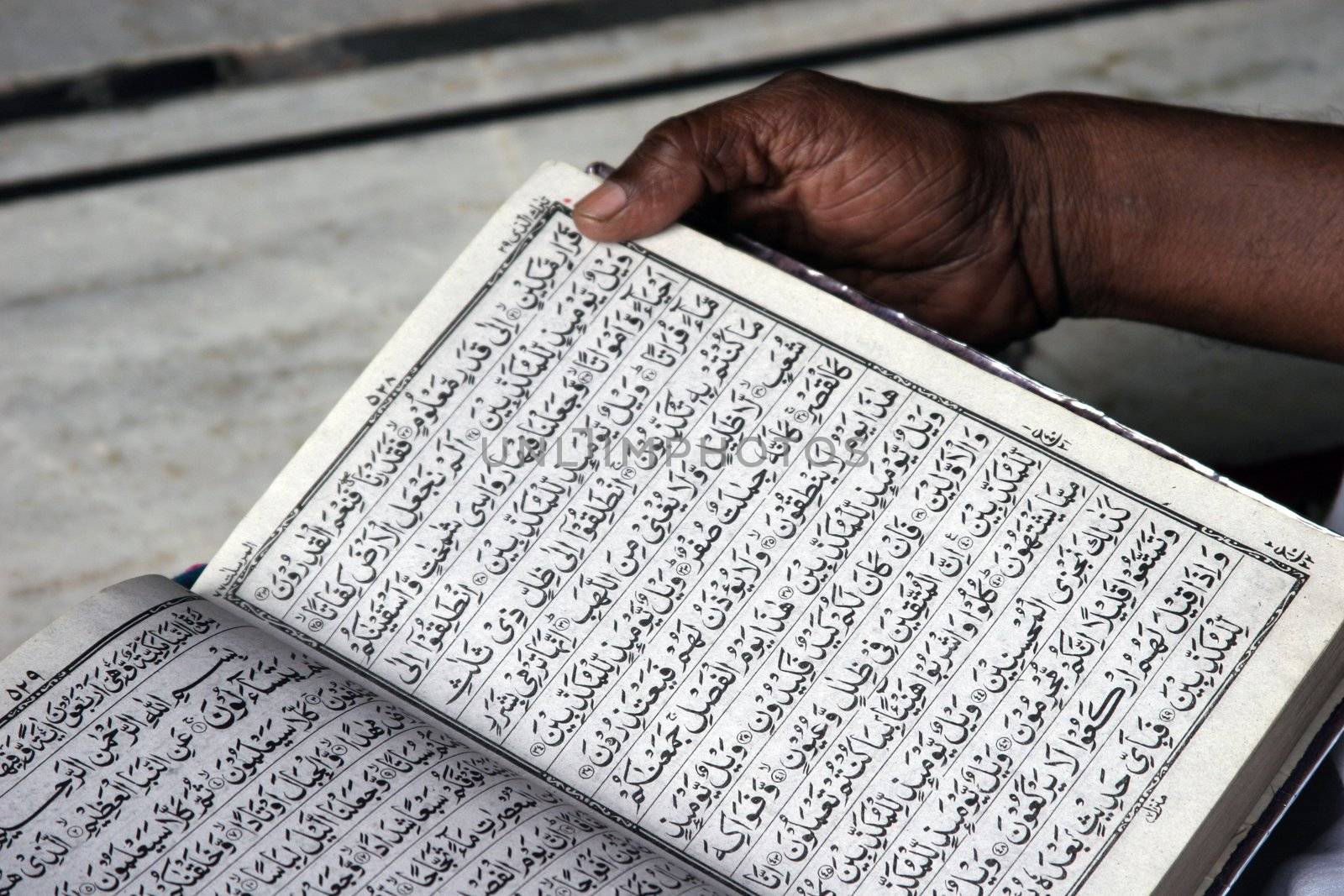 Close up of a man reading holly book Koran