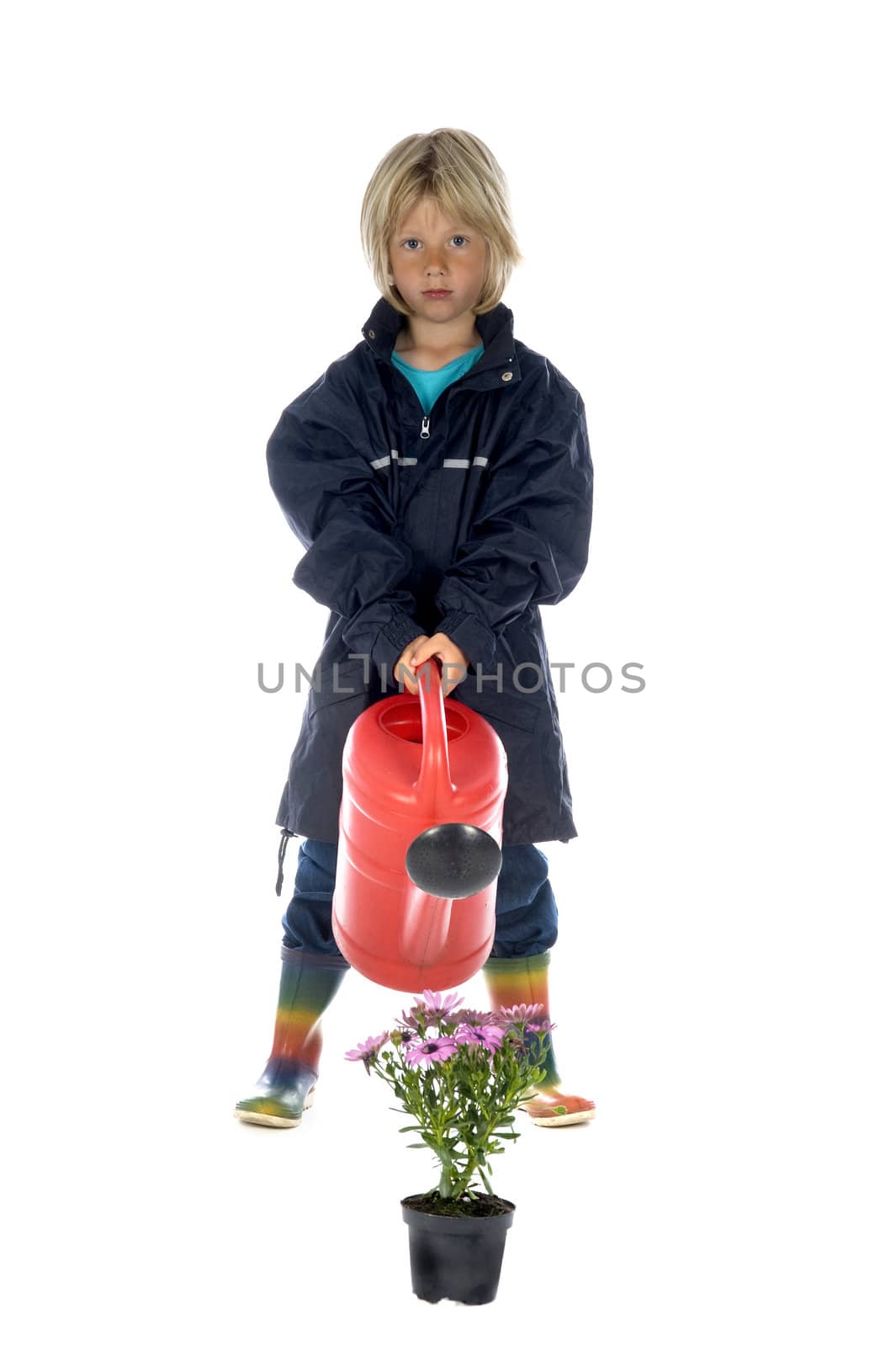 a boy is giving the plants some water