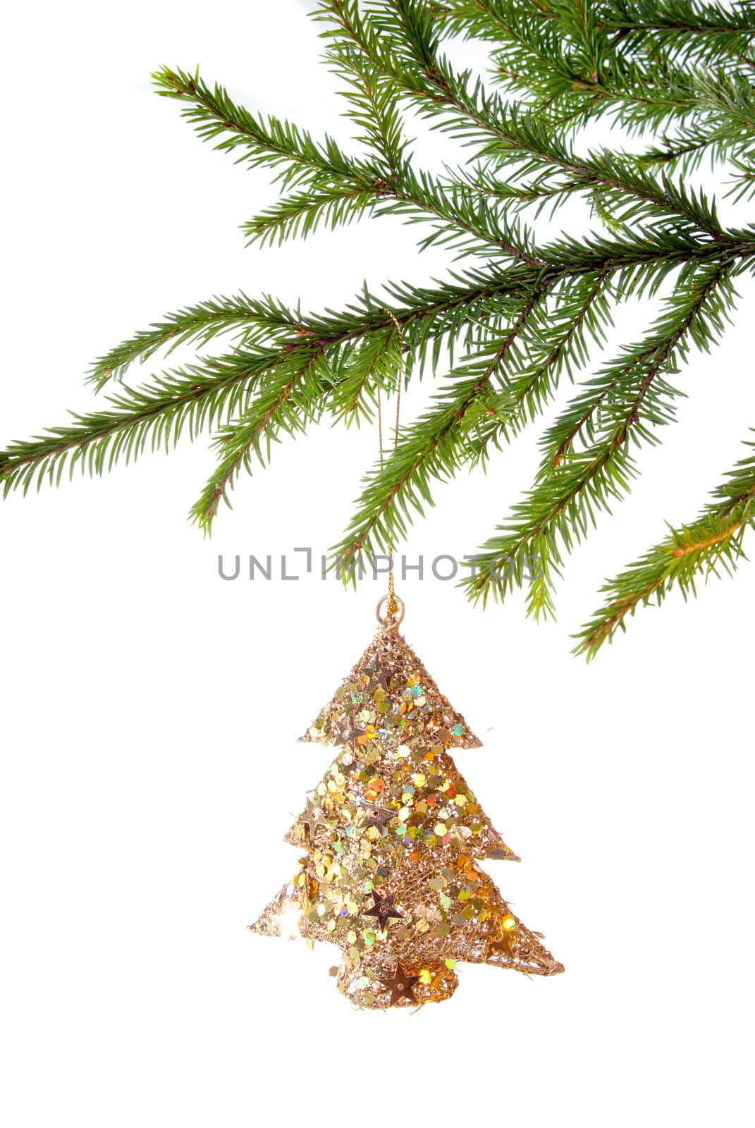 green branches of the pine,embellishment cristmas,white background