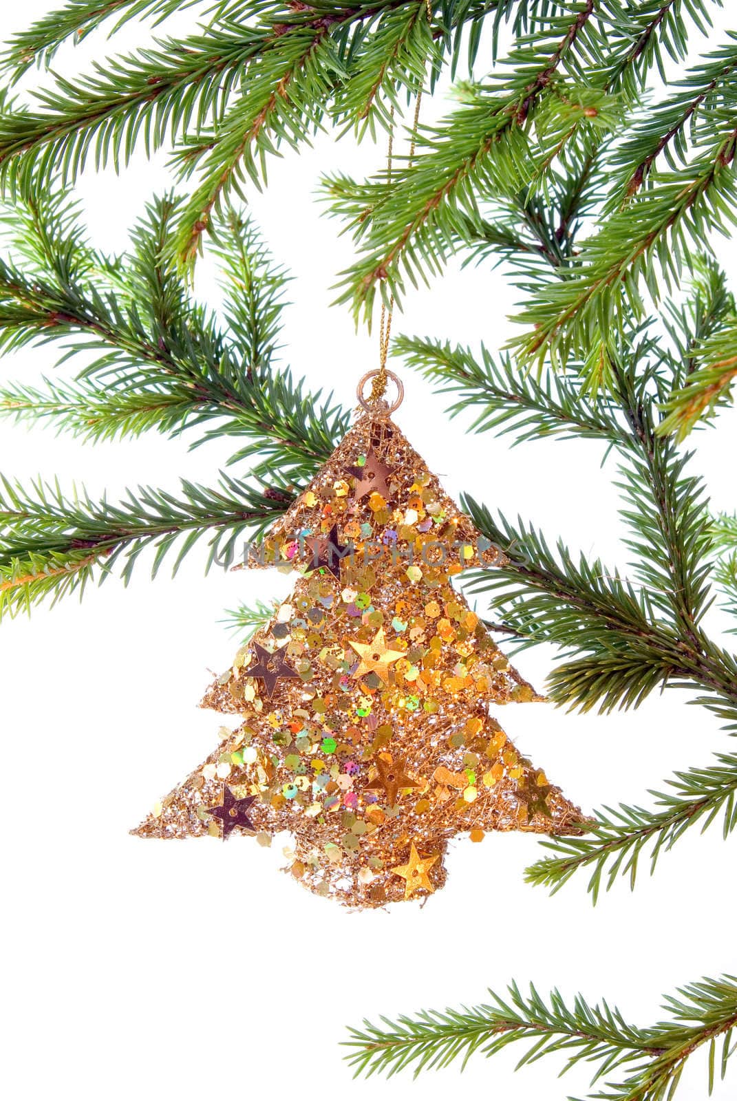 green branches of the pine,embellishment cristmas,white background