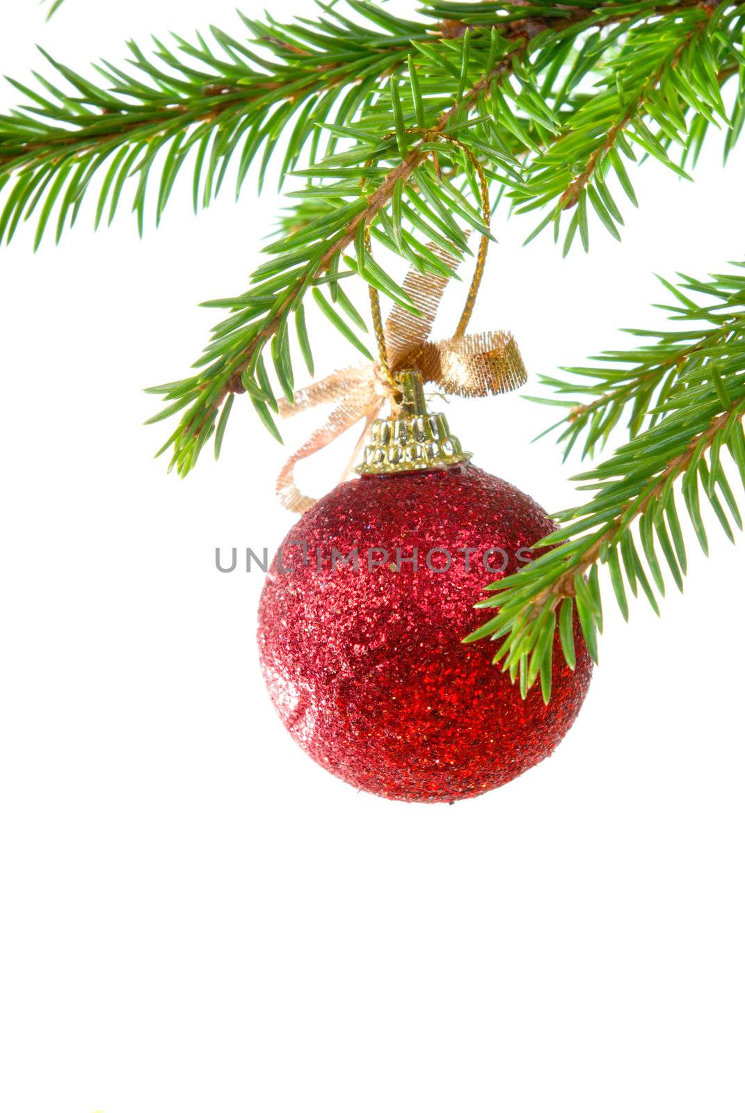 Christmas tree ornaments, white background