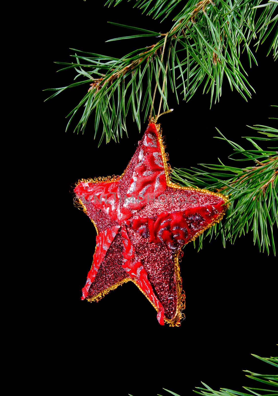 Red star hanging from a branch.black background
