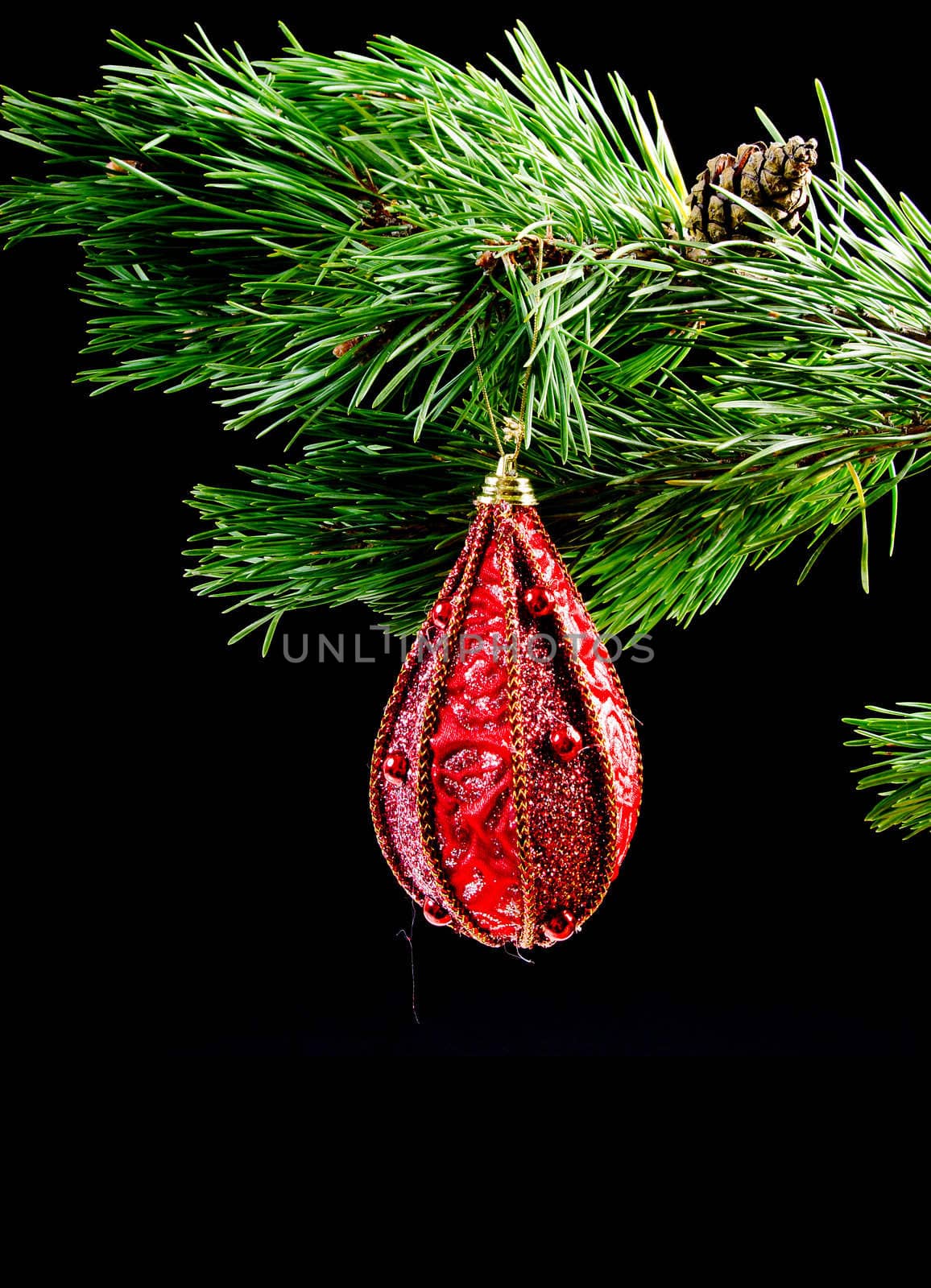 coniferous branch on dark background with toy cristmas