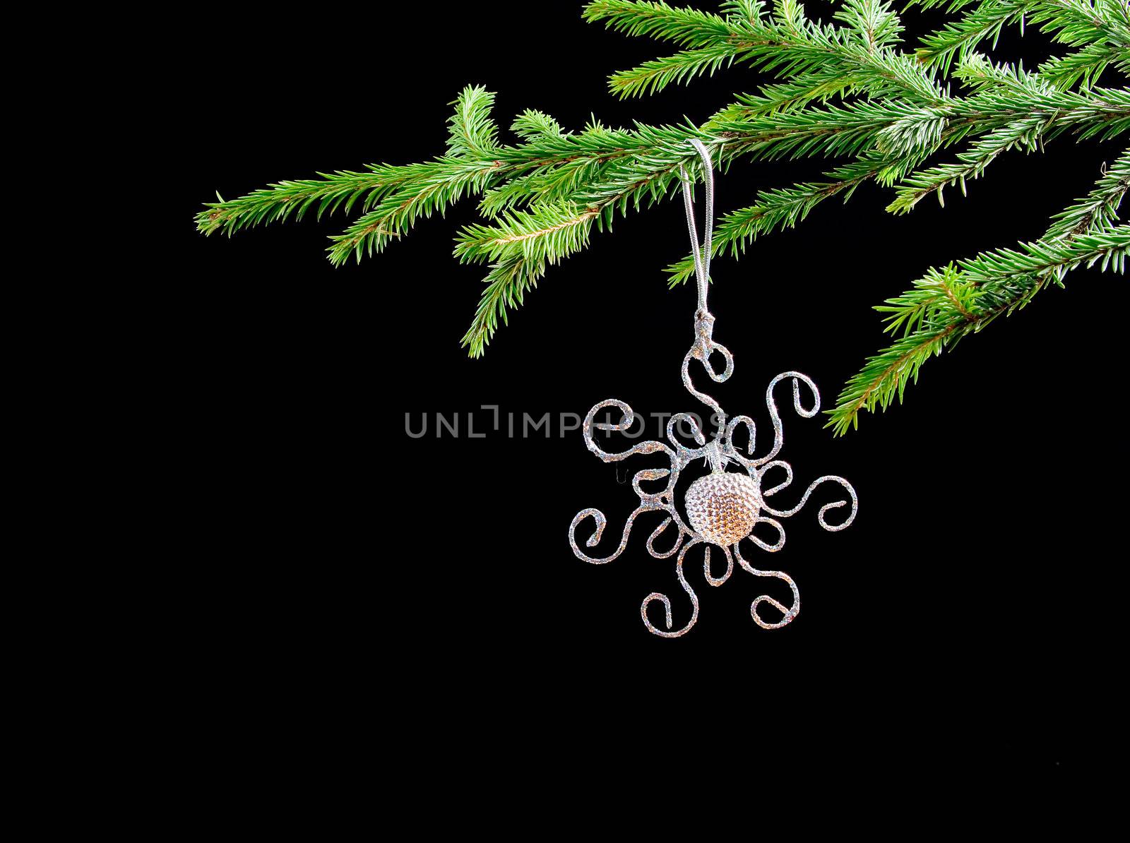 Christmas bauble  on background of the fur branches