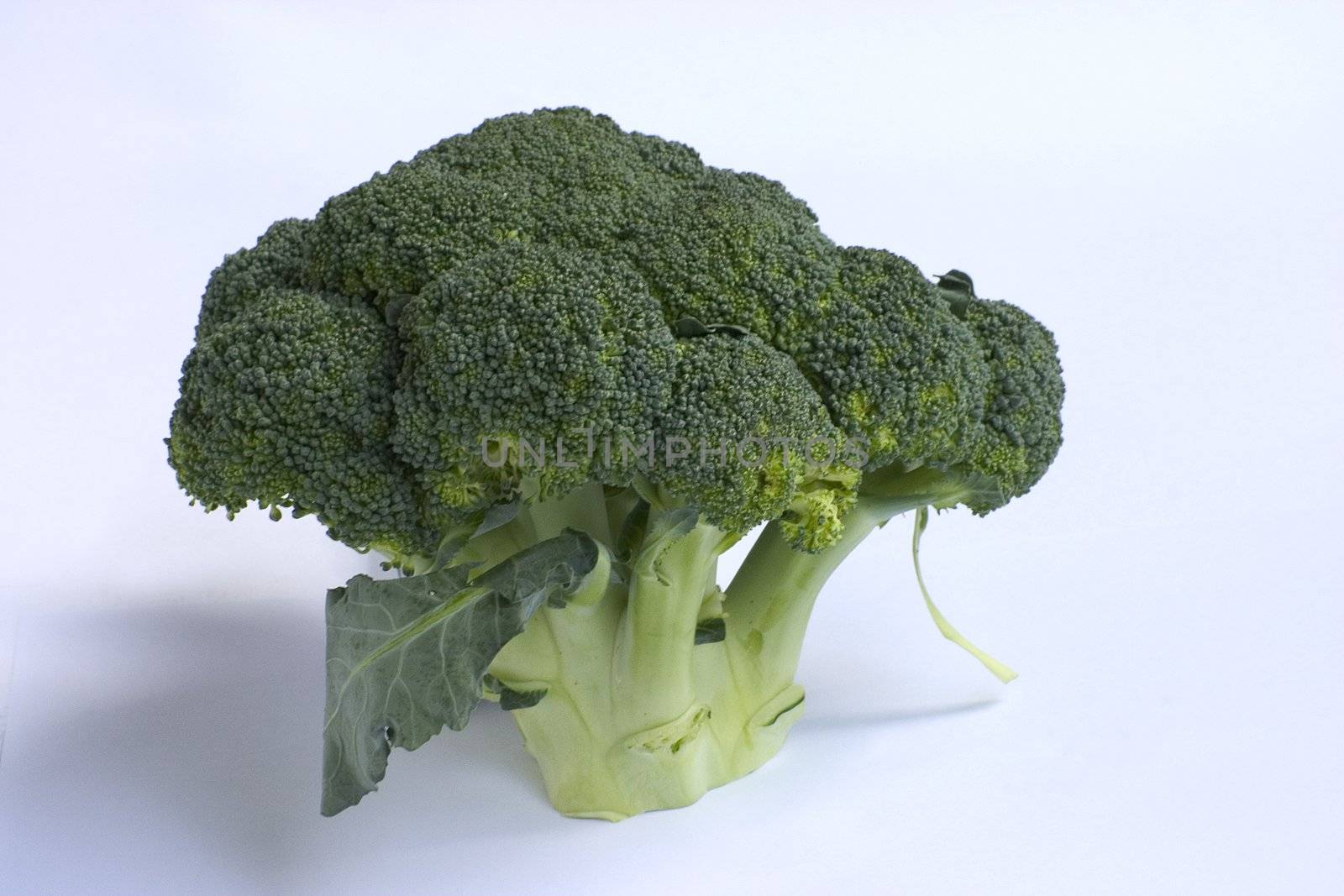 fresh green broccoli isolated on a white background