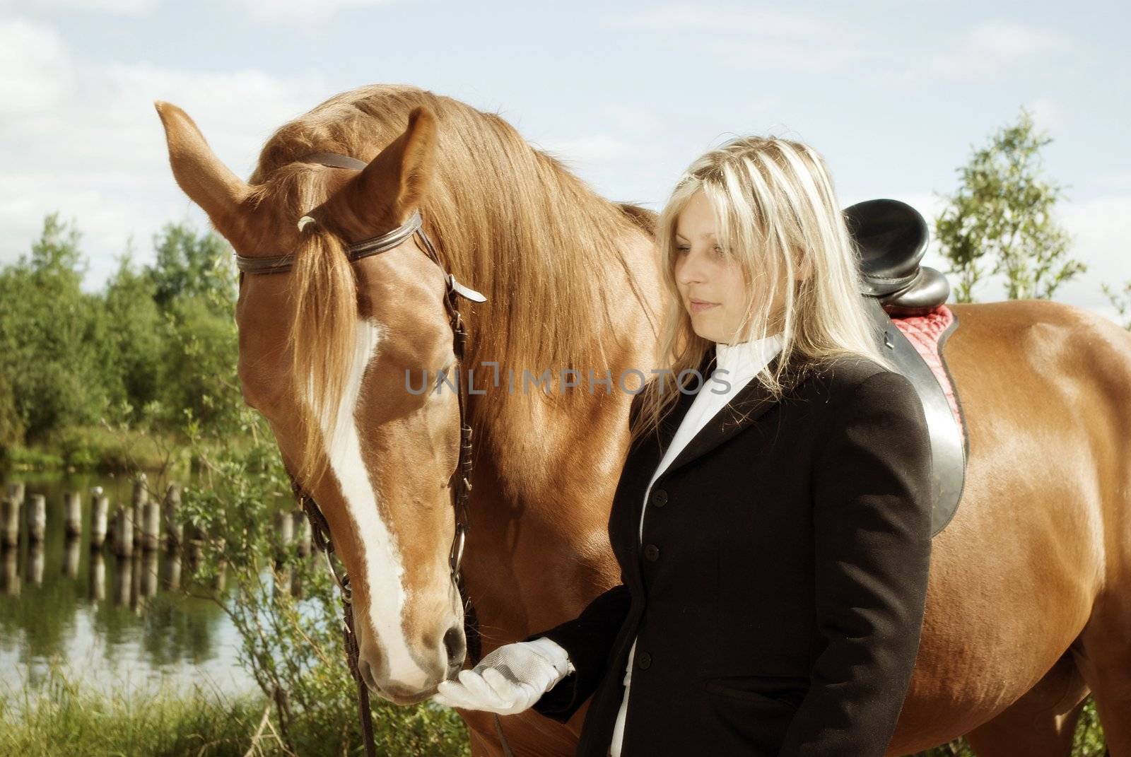 beautiful girl and her handsome horse.Friendship