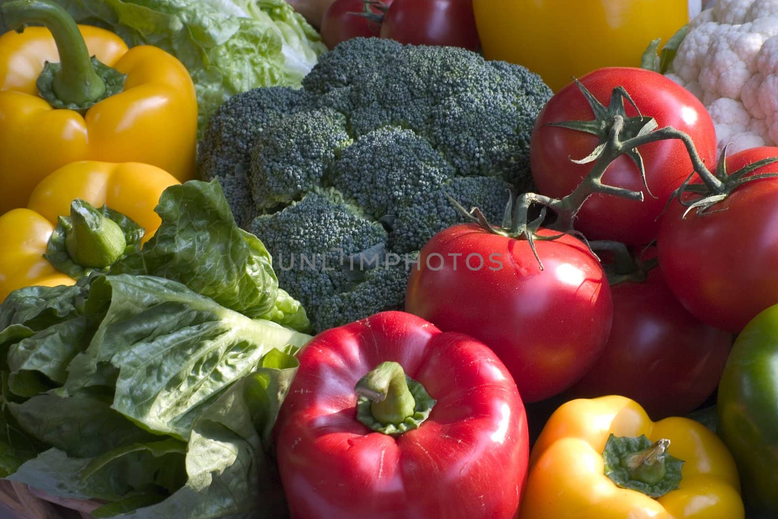 fresh vegetables by miradrozdowski