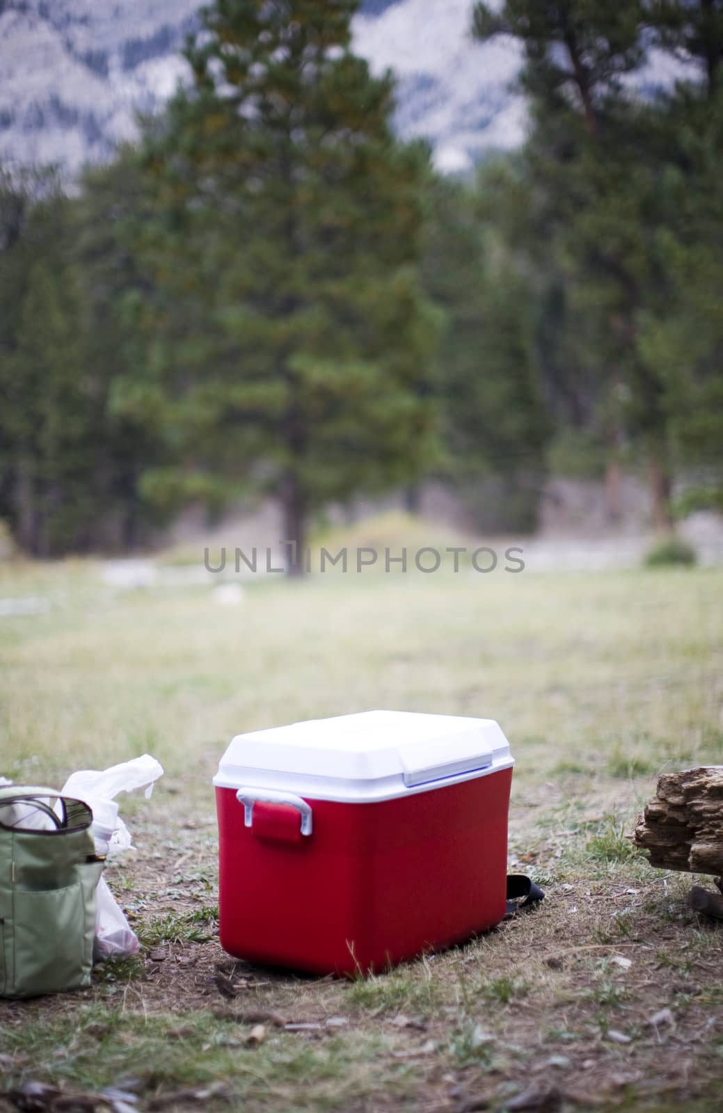 camping gear outside in the forest with the pine trees and the mountains in the background and a red cooler and bags in the foreground