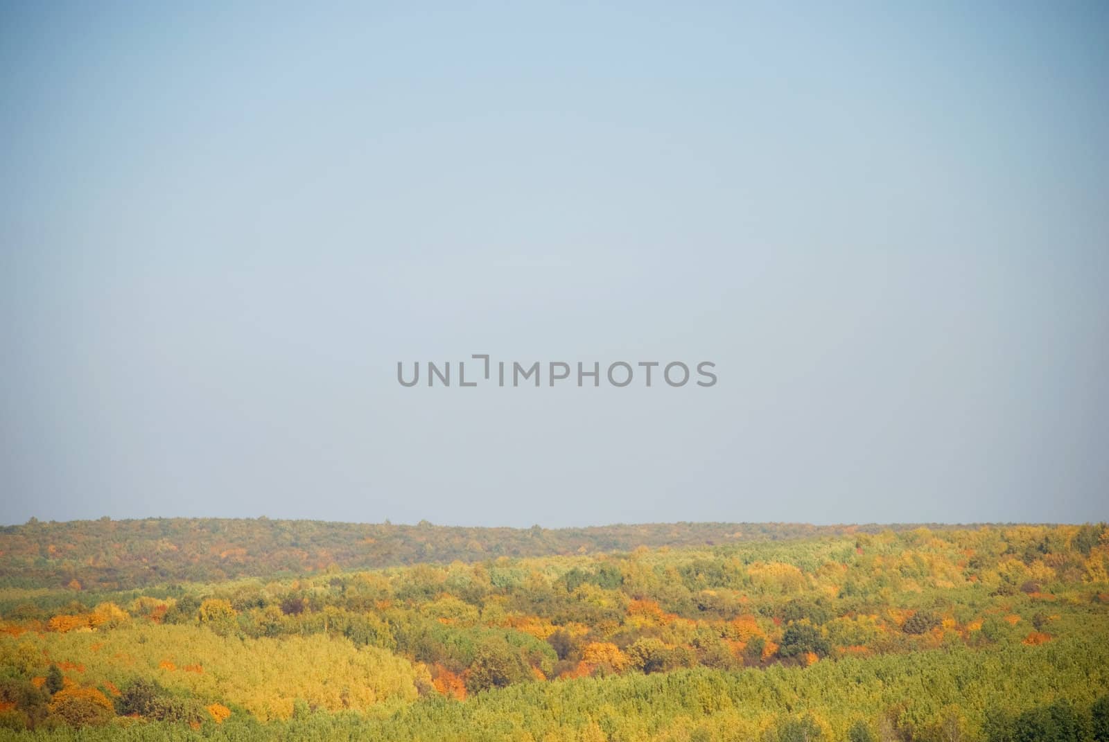 Splendid type on hills and autumn wood by jannyjus