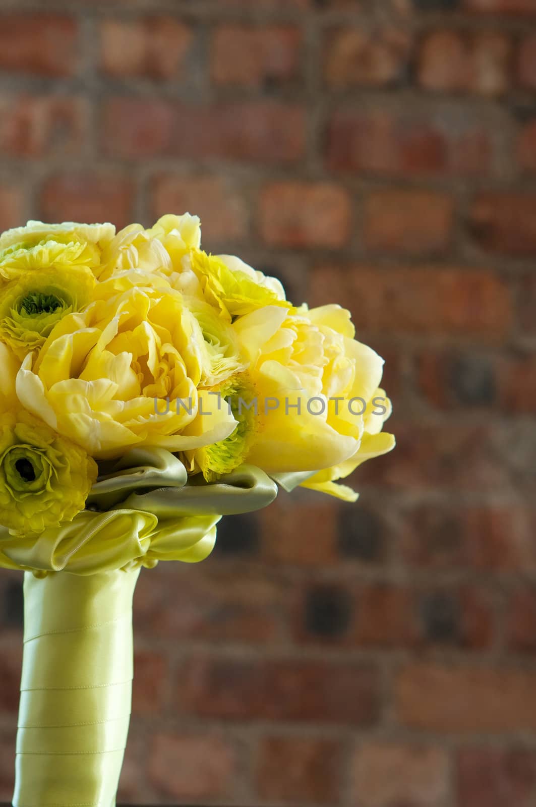 A colorful yellow bridal bouquet of flowers by Deimages