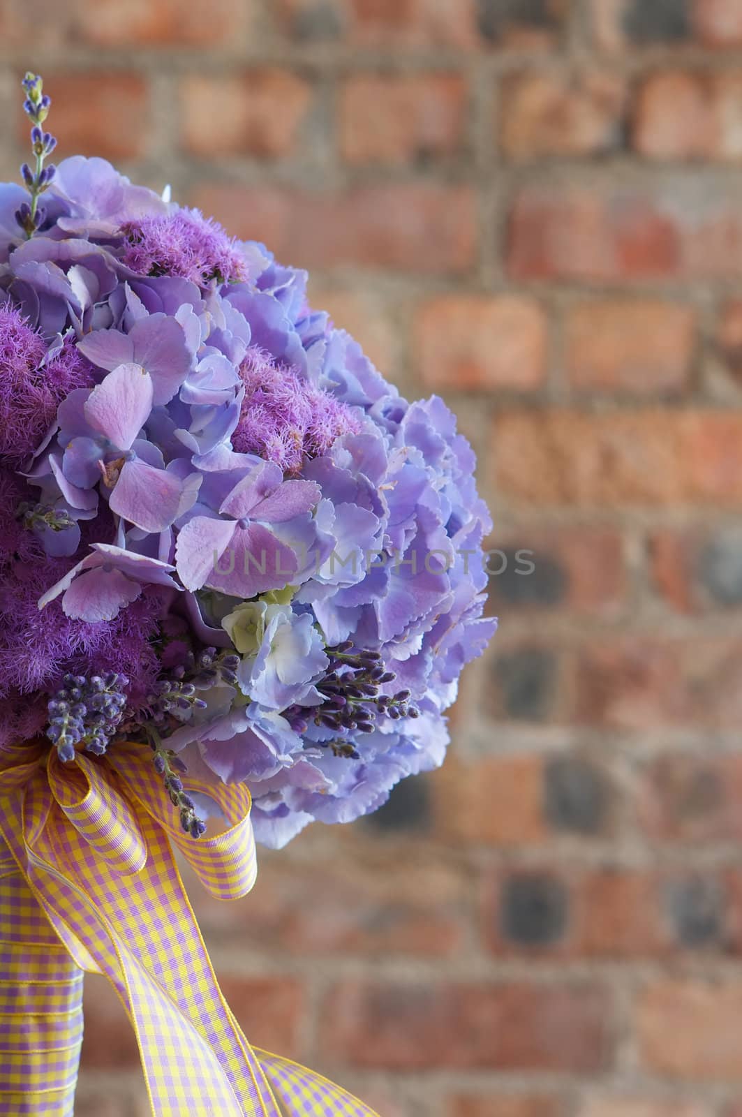A colorful purple bridal bouquet of flowers by Deimages