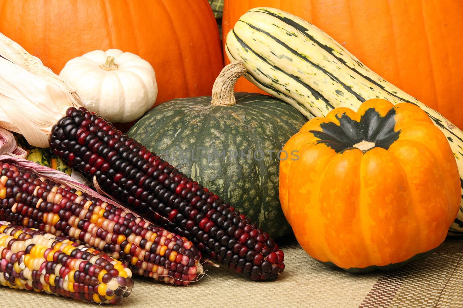 Autumn scene with pumpkins, corn, and colorful orange and green squash