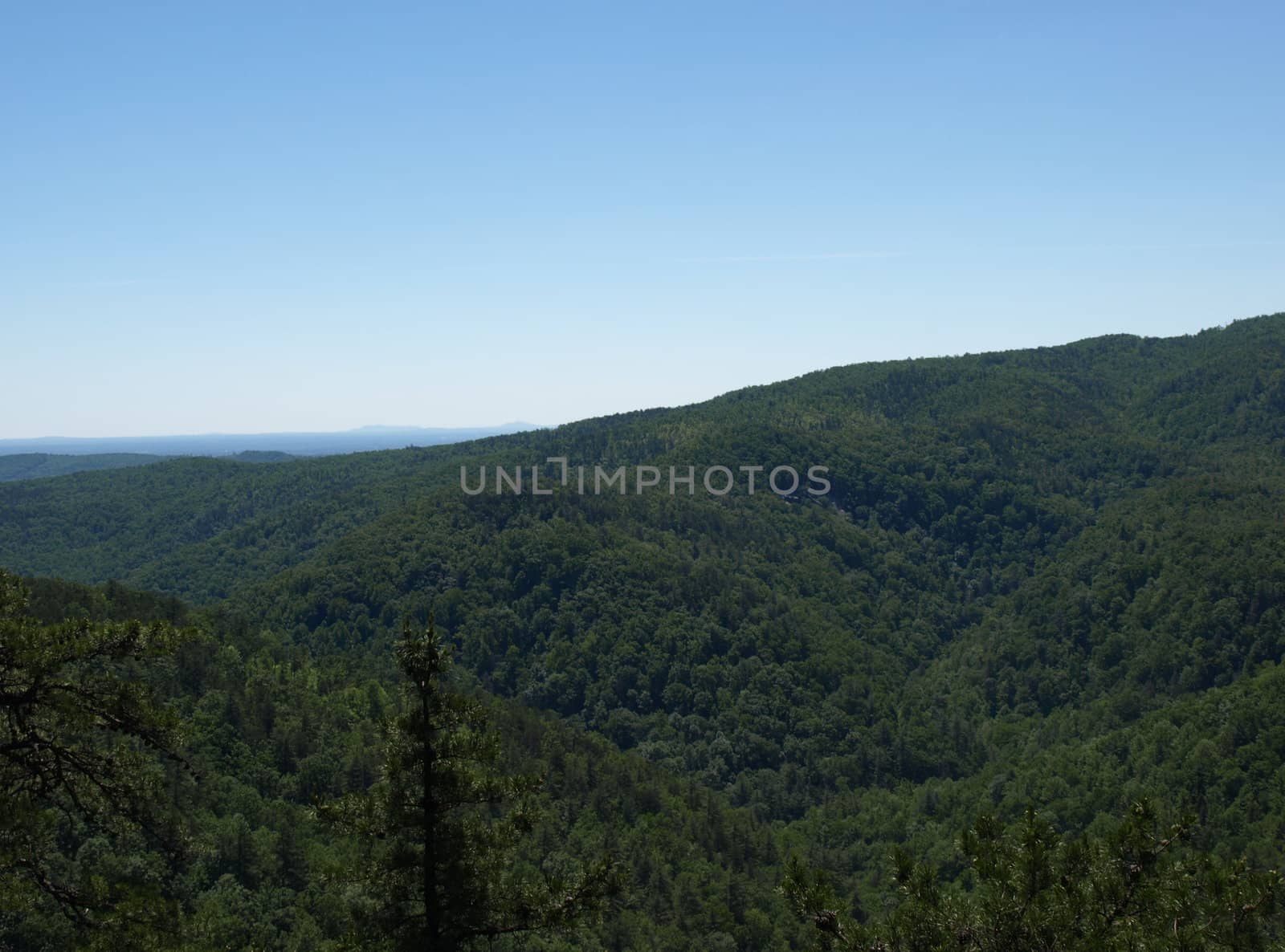 View along the chestnut trail in North Carolina's South Mountain State Park.