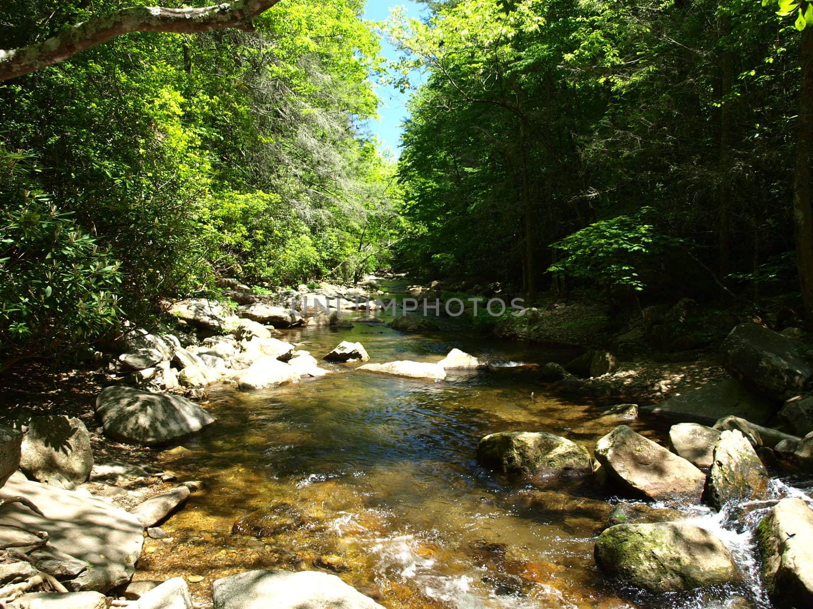 Mountain creek in the spring of the year in rural North Carolina