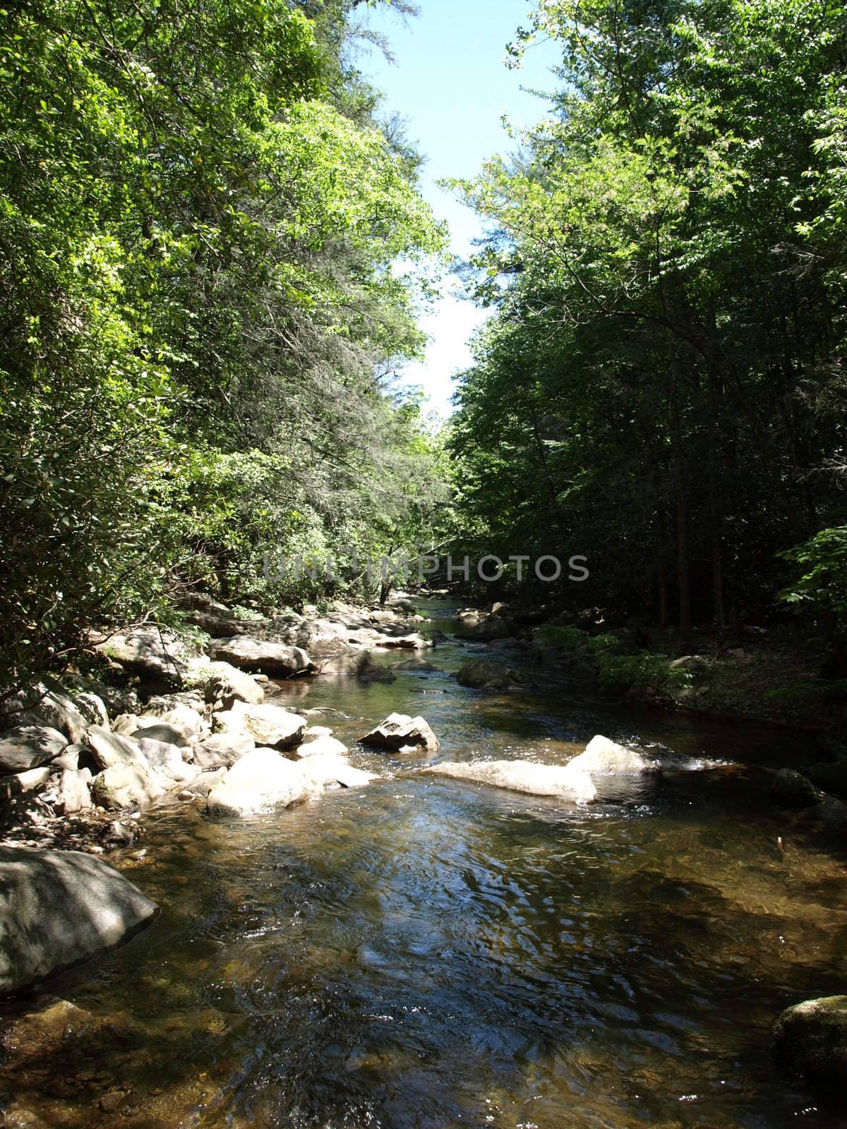 Mountain creek in the spring of the year in rural North Carolina