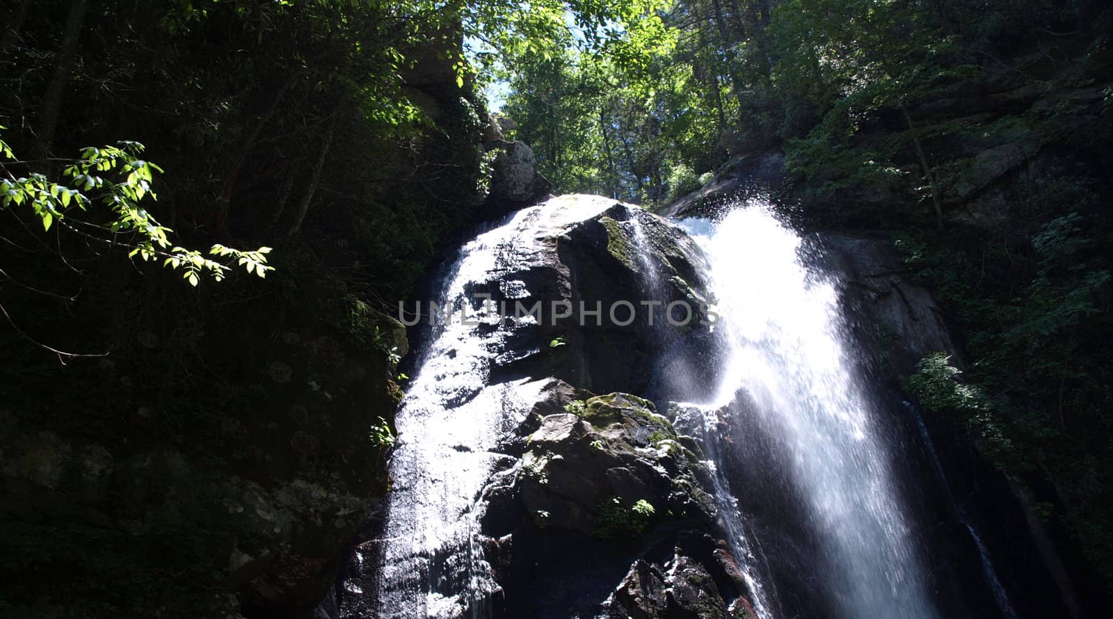 Waterfall in rural North Carolina during the summer time