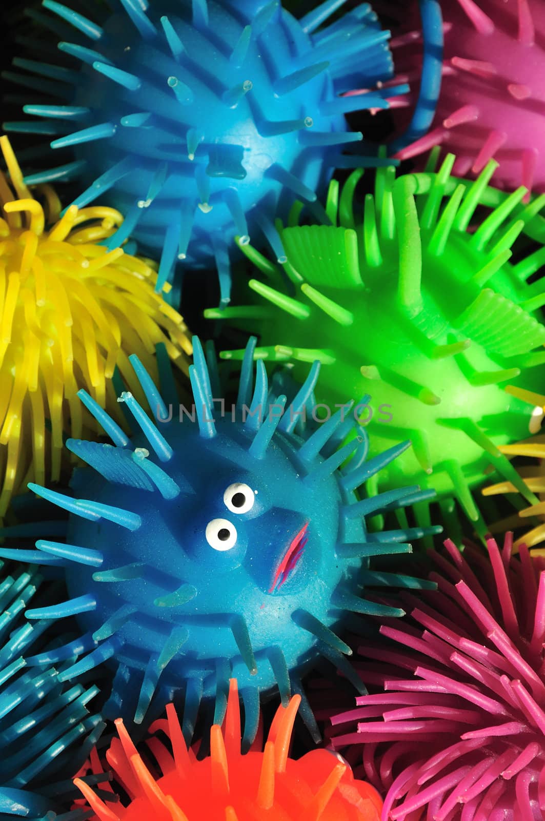 One wide-eyed squishy puffer fish lost in a sea of color