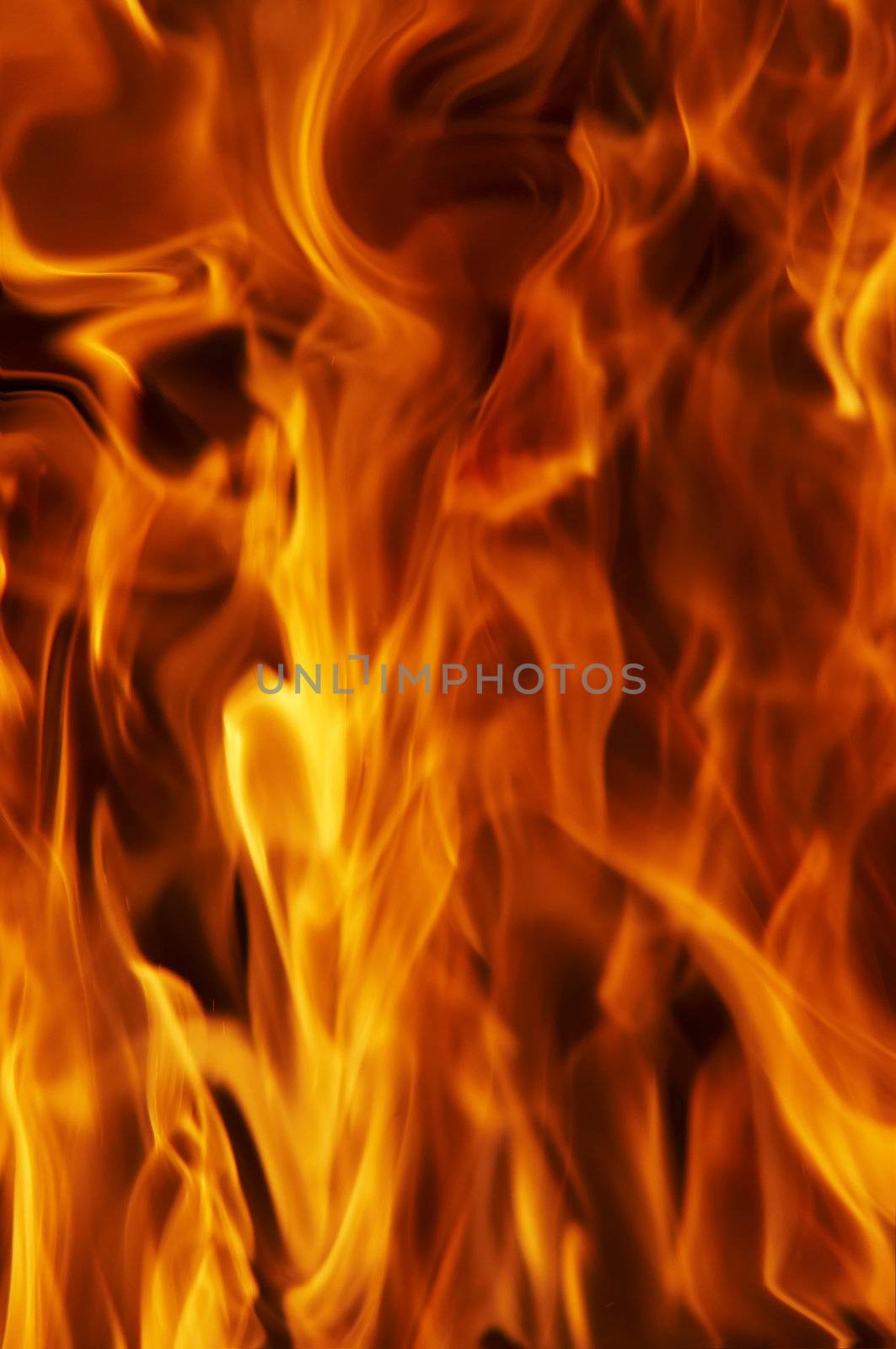 Shot of the fire and flames