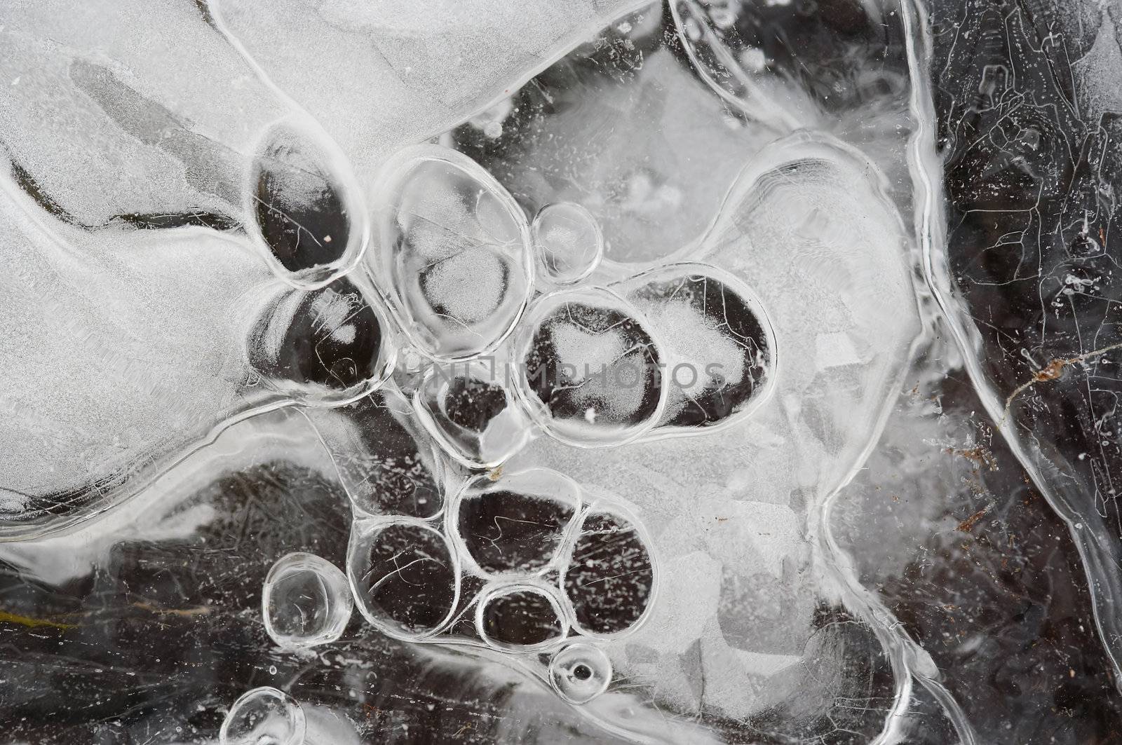 Close-up of the texture of ice