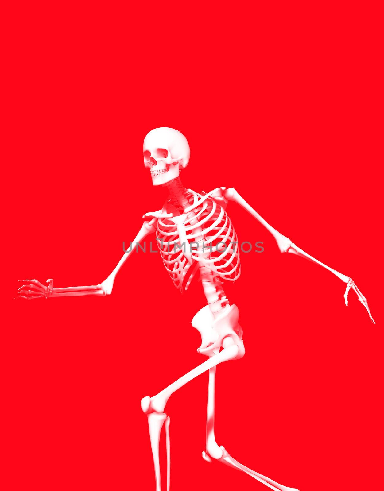 A active Skelton that would make a great Halloween or medical image.
