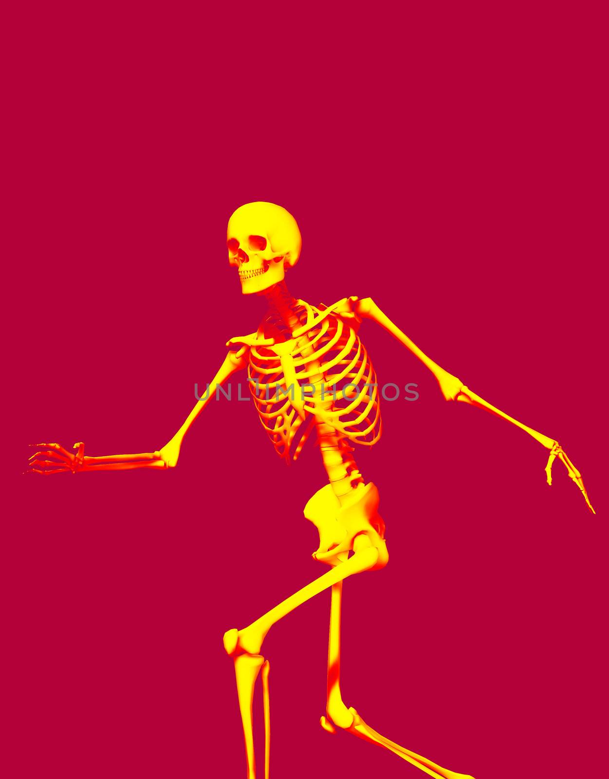 A active Skelton that would make a great Halloween or medical image.
